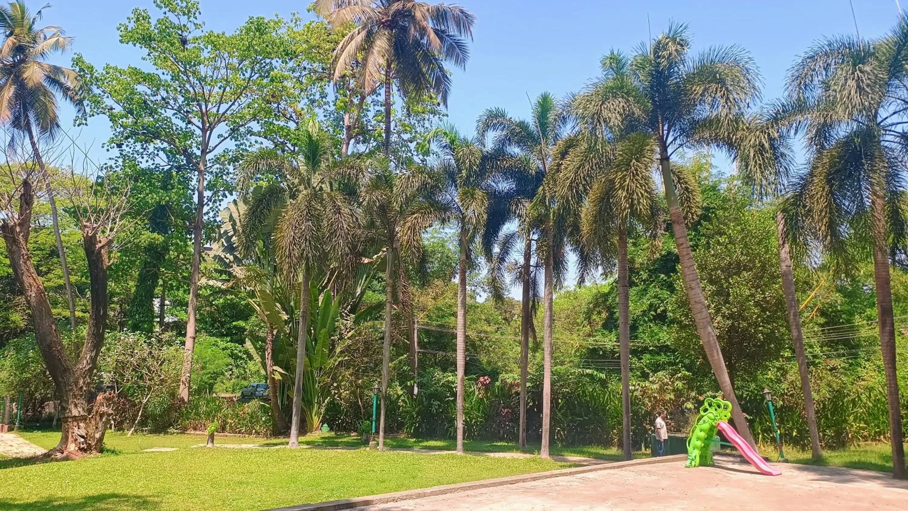 Garden in Golden Landmark Green Valley Beach Resort