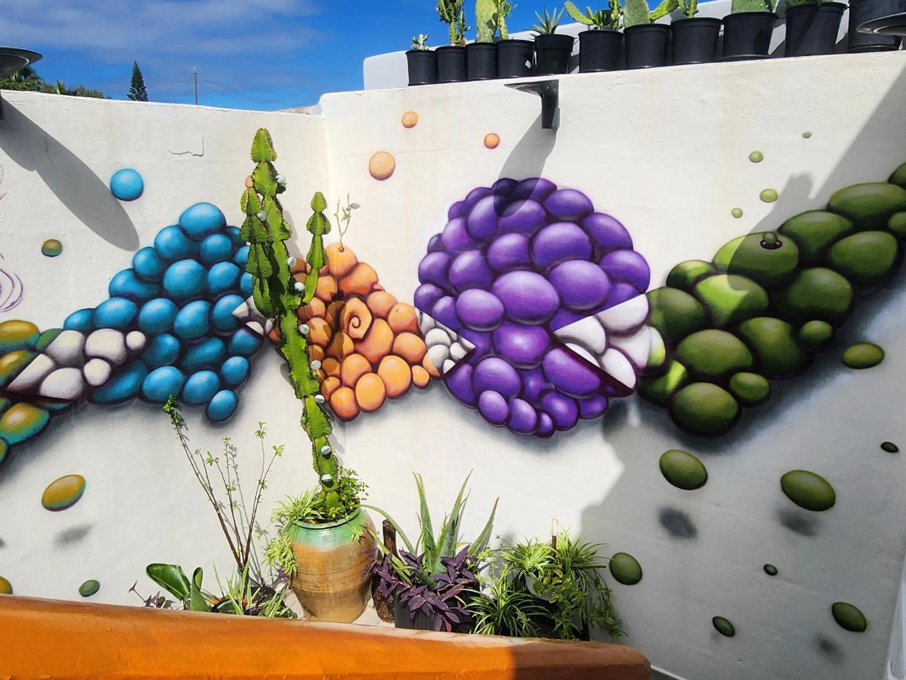 Patio in Salvia BnB, Habitaciones con Banos Privados