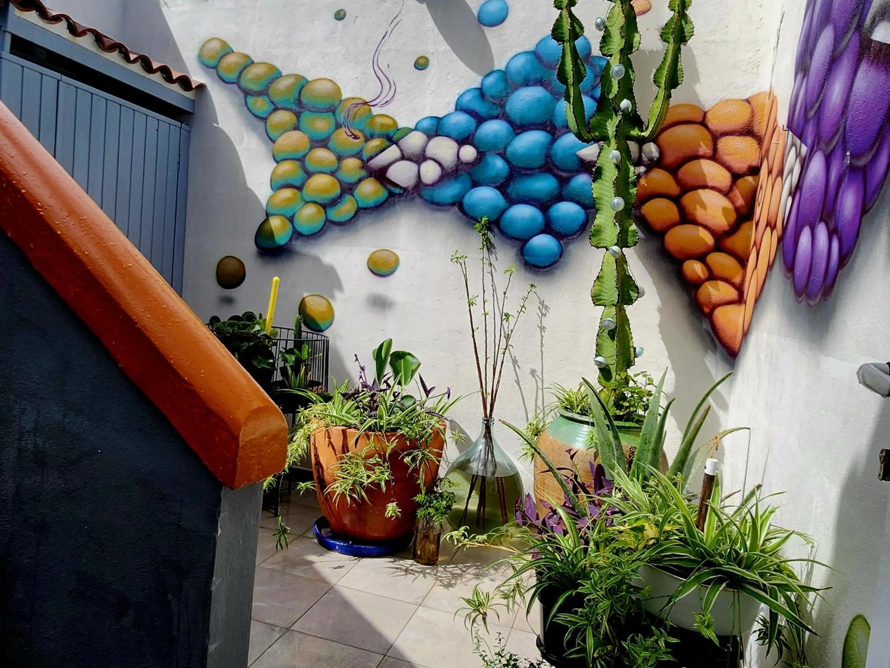 Patio in Salvia BnB, Habitaciones con Banos Privados