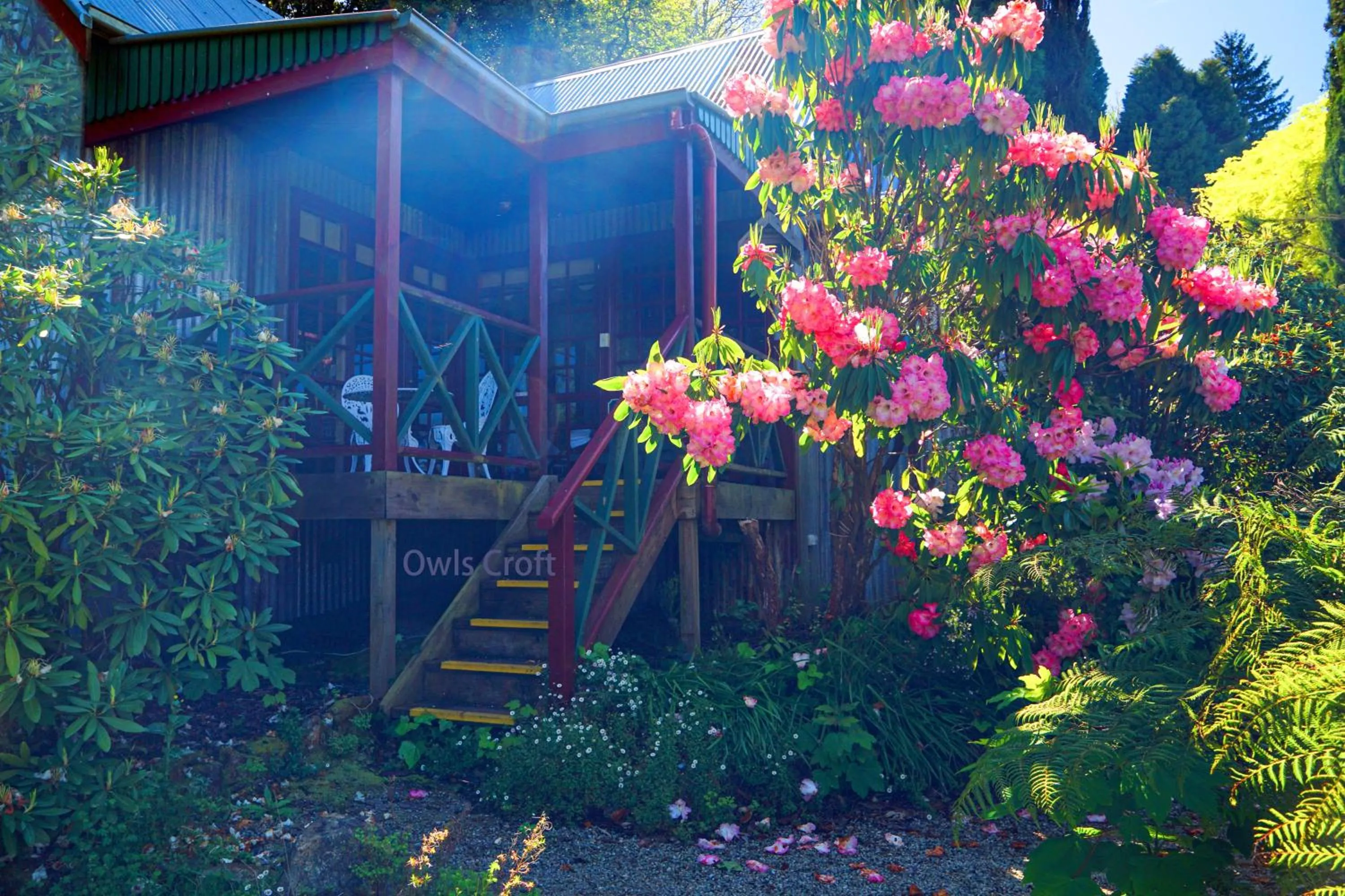 Observatory Cottages