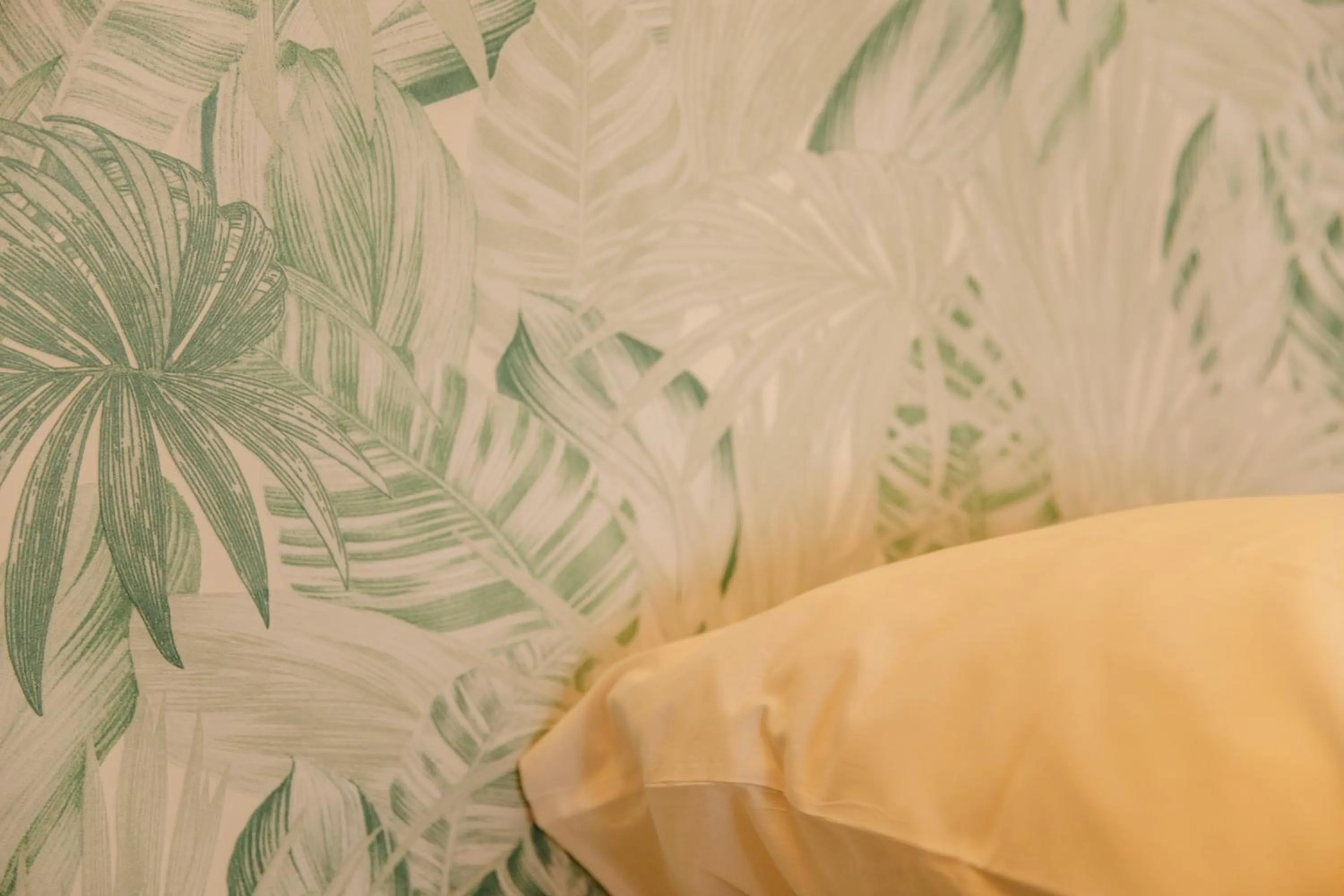 Bed in City Affaire, Petit déjeuner OFFERT en Hypercentre