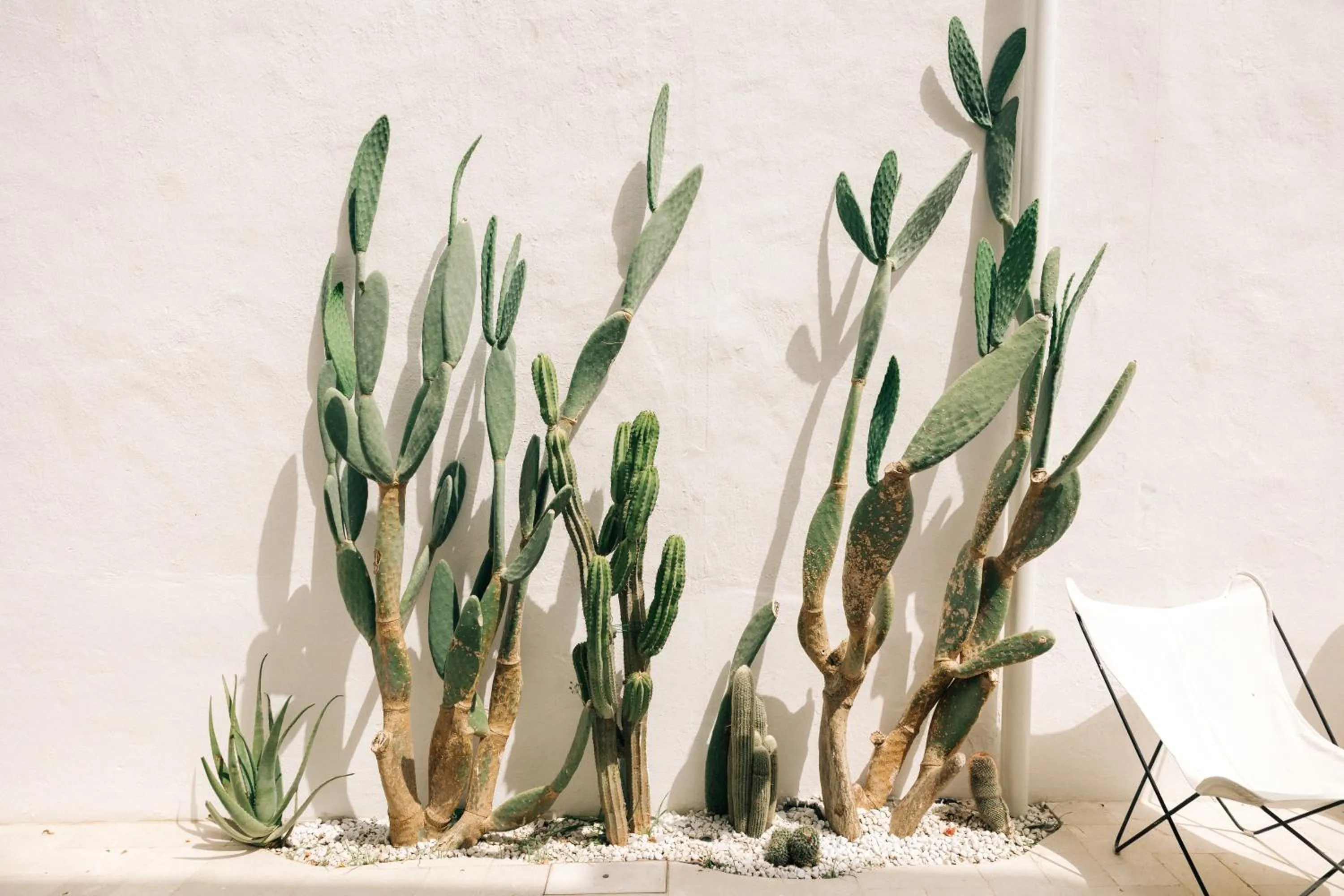 Decorative detail in Corte Manfredi