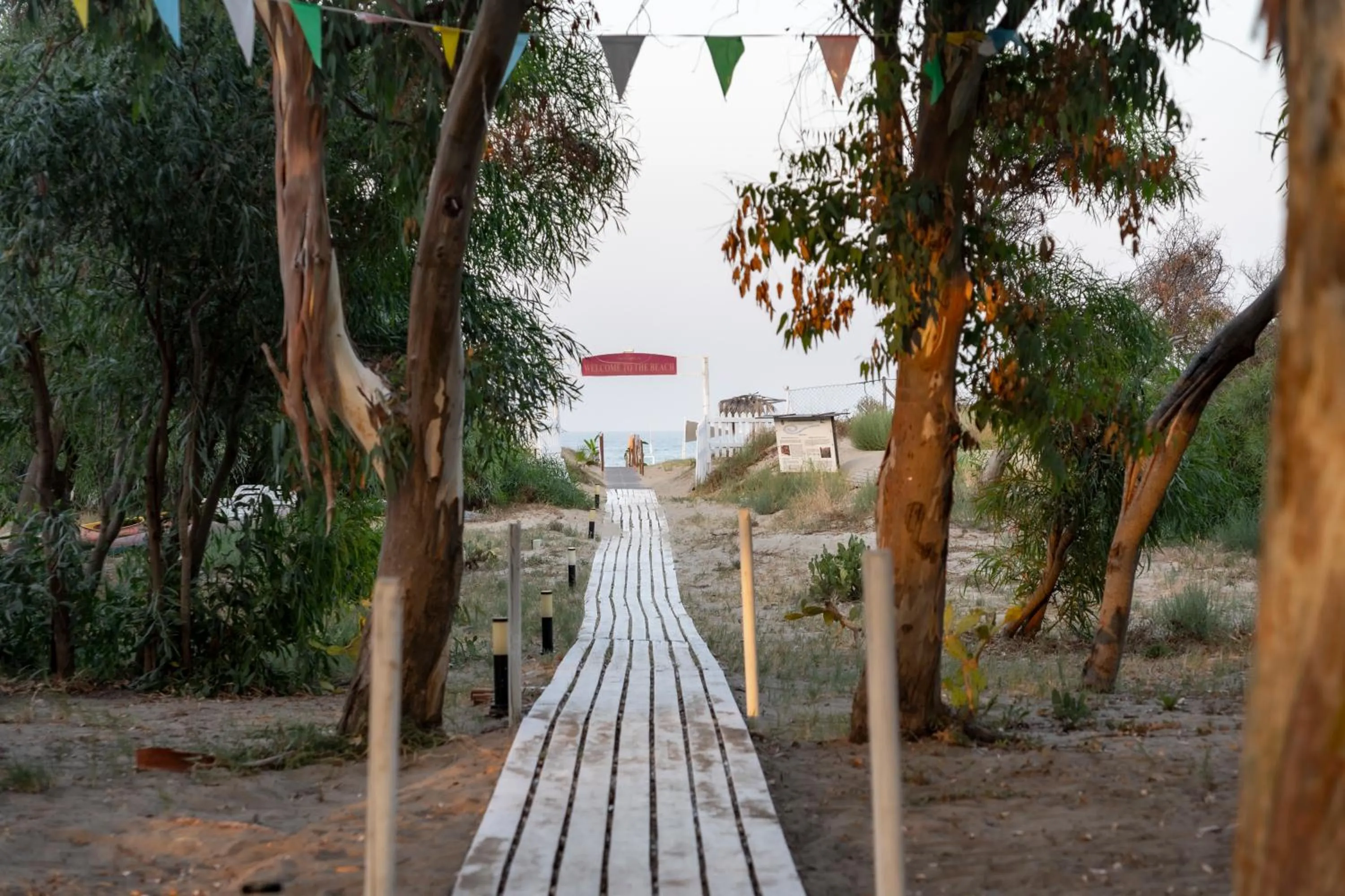 Mg Palace Hotel Costa del Sole