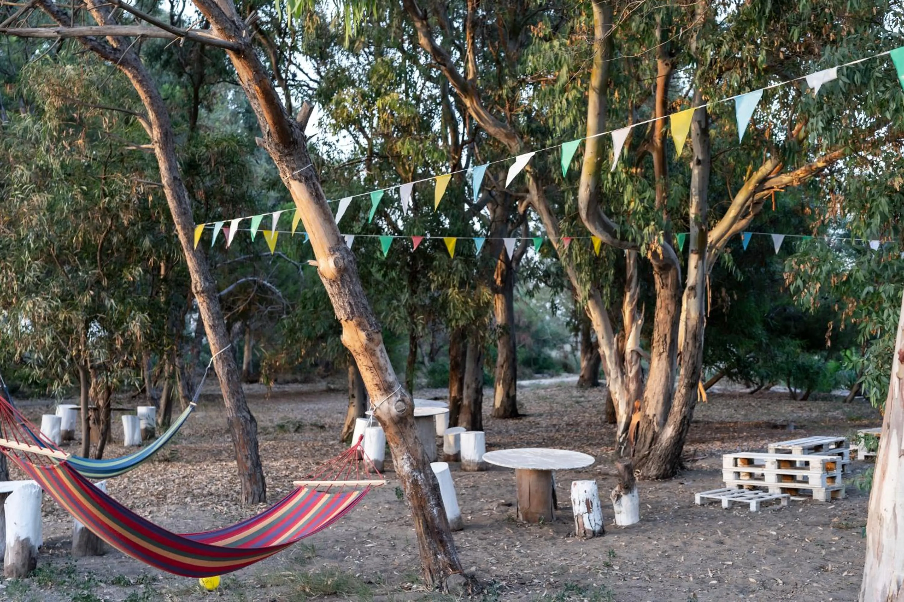 Natural landscape in Mg Palace Hotel Costa del Sole