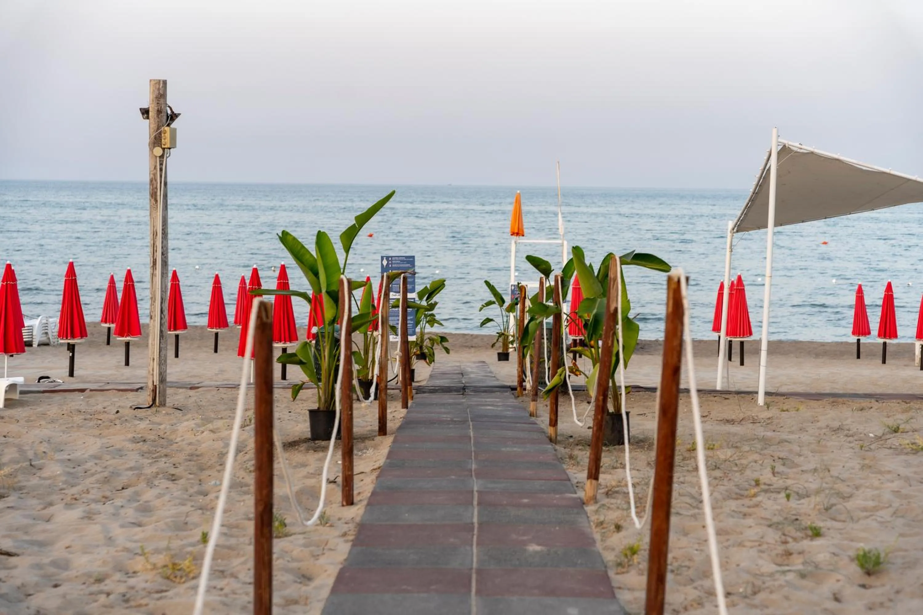 Beach in Mg Palace Hotel Costa del Sole