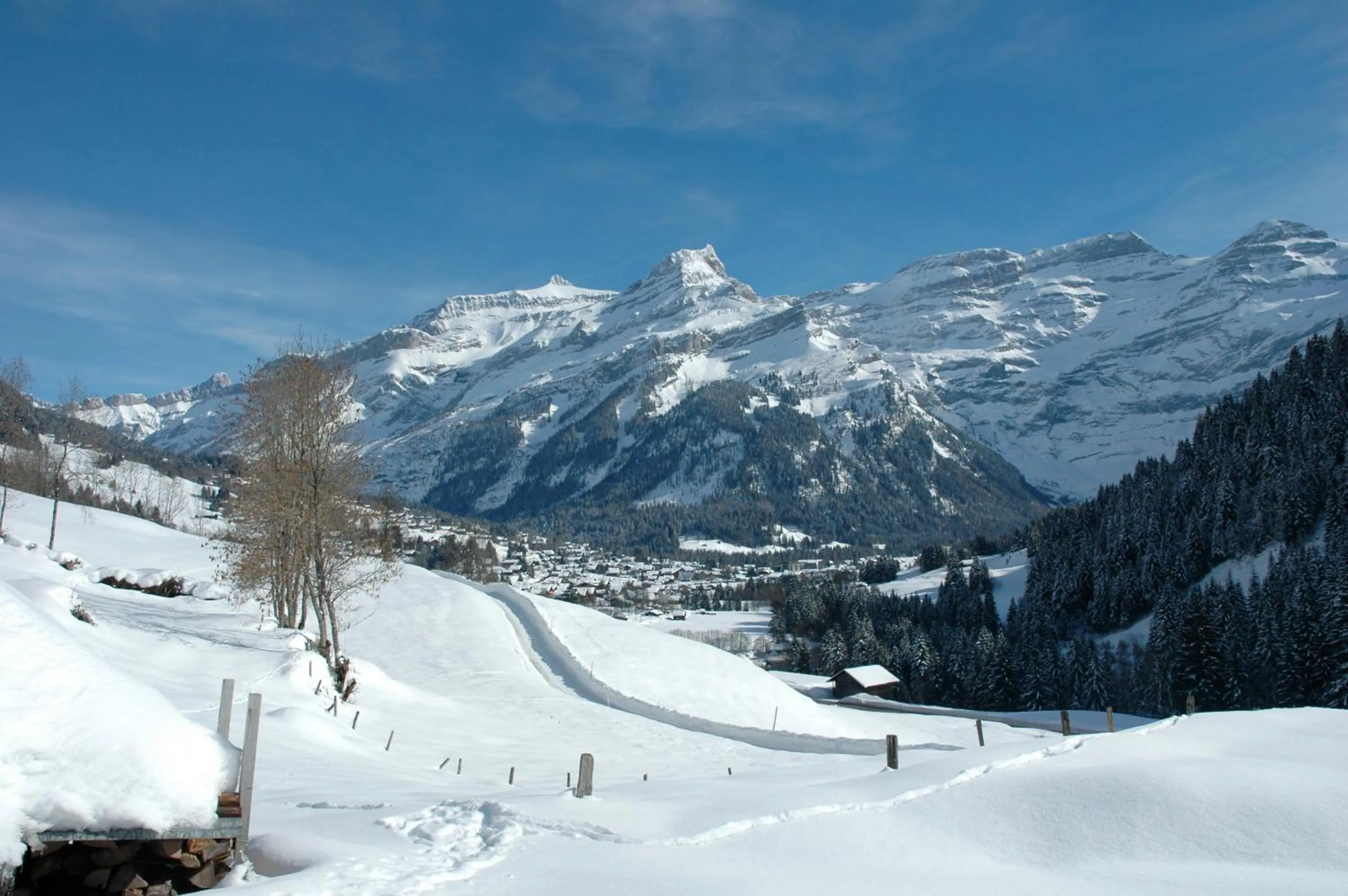 Mountain view in Historic Hotel du Pillon
