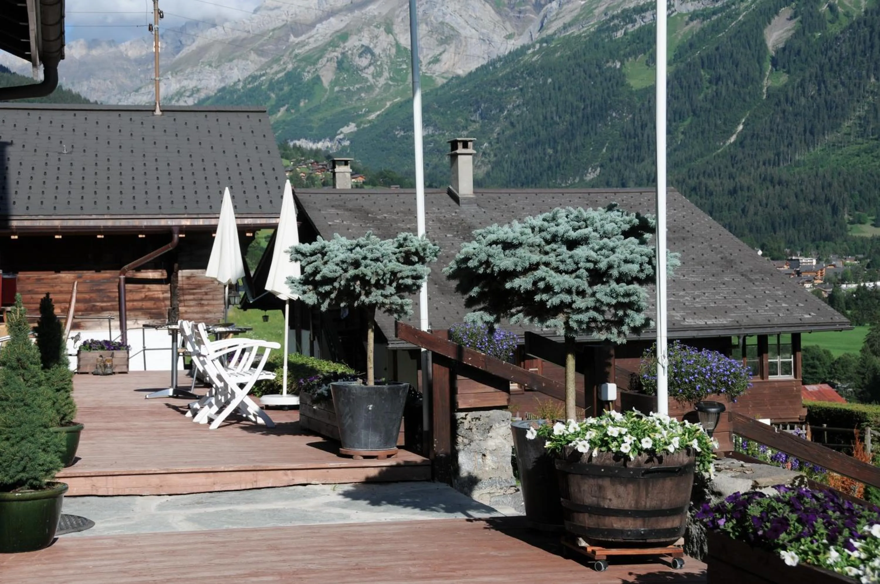 Balcony/Terrace in Historic Hotel du Pillon
