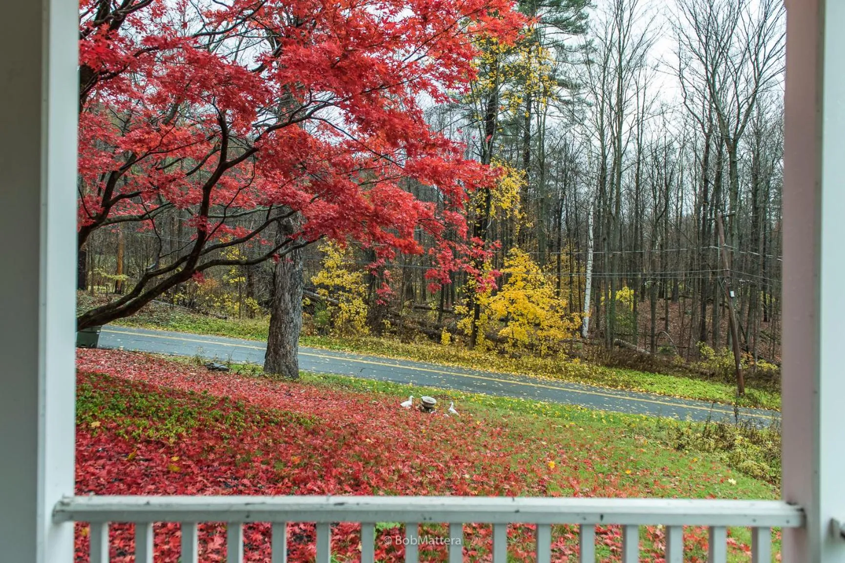 Restored 1881 Farm House