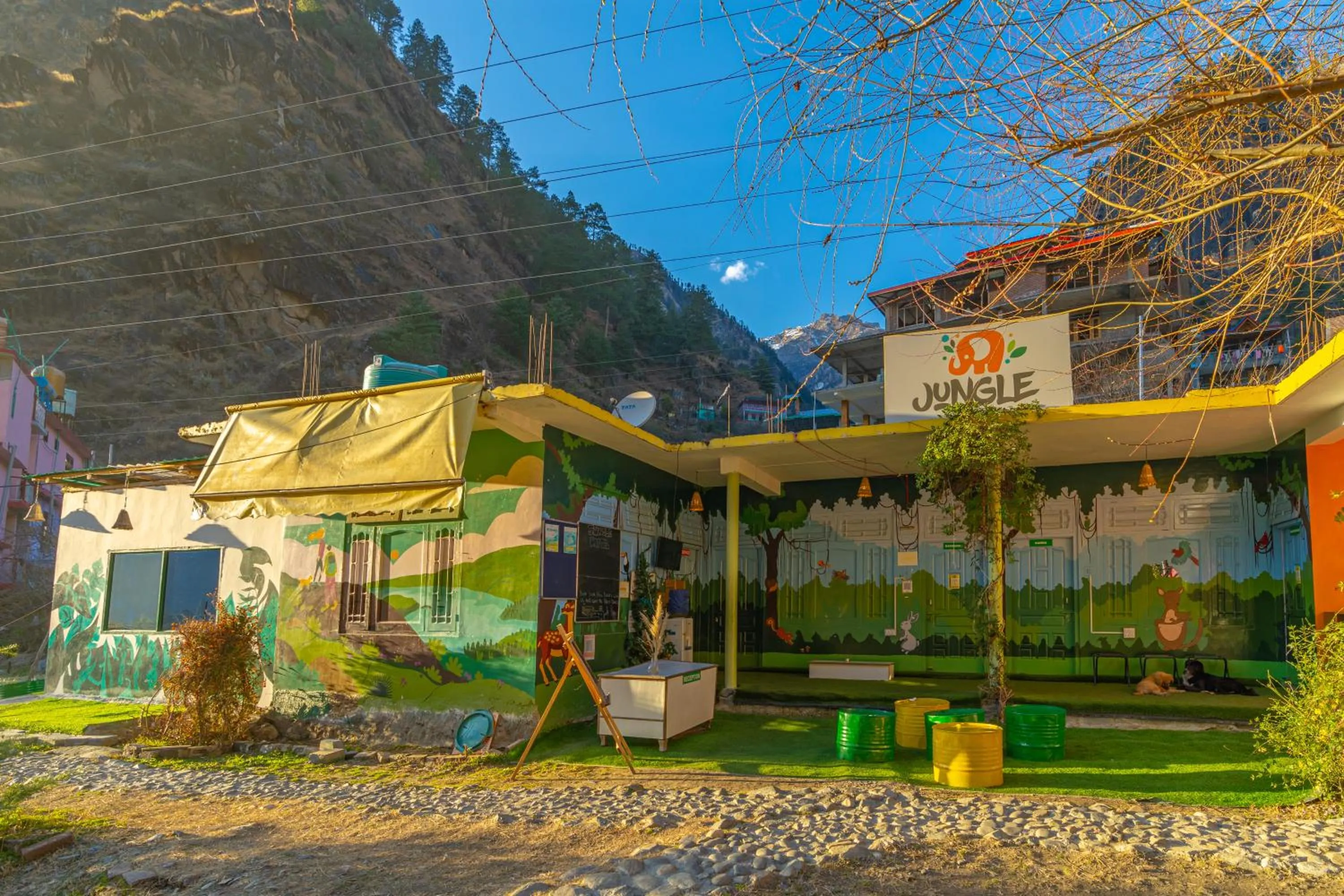 Property building in Jungle Hostel by Whoopers