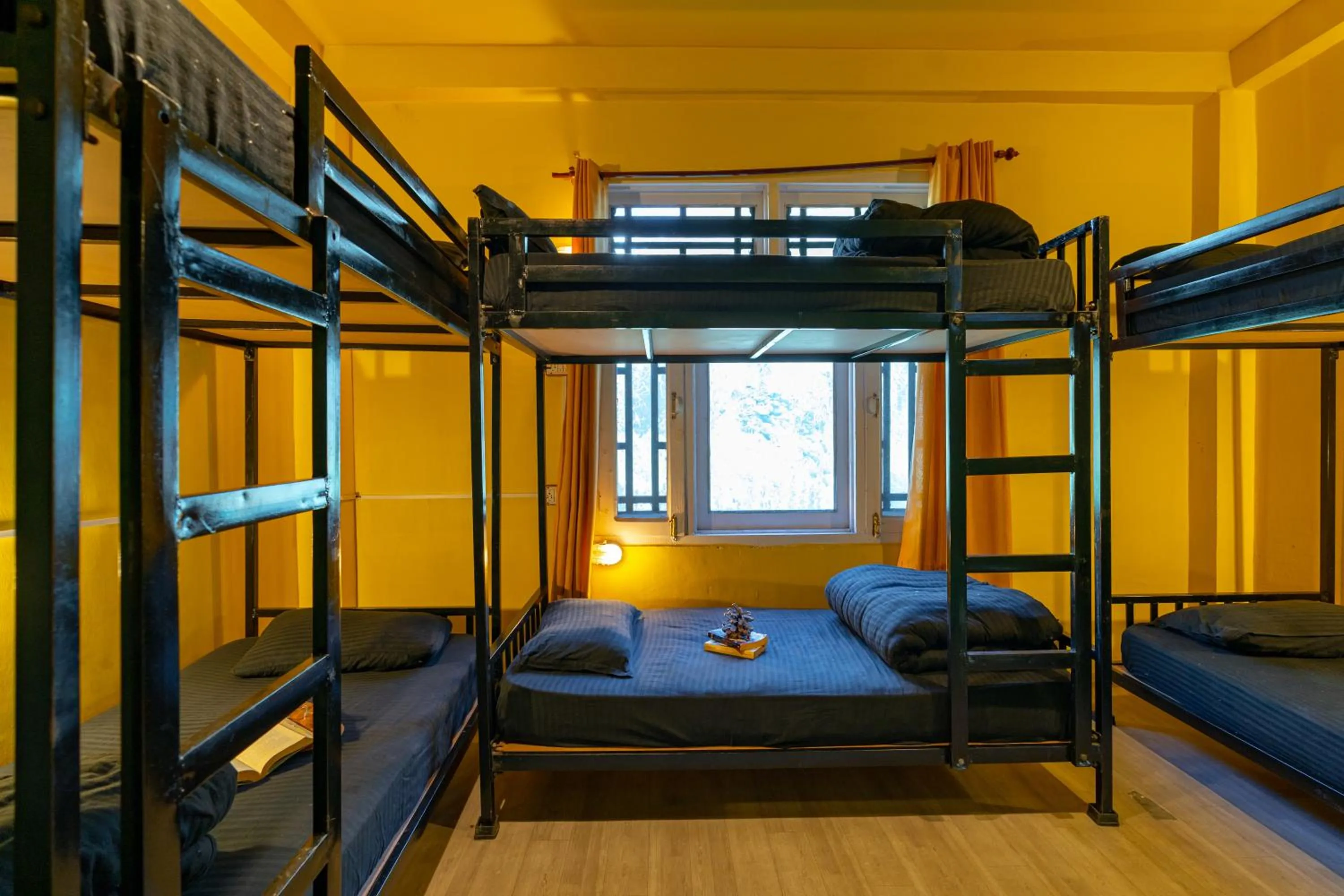 bunk bed, Bed in Jungle Hostel by Whoopers