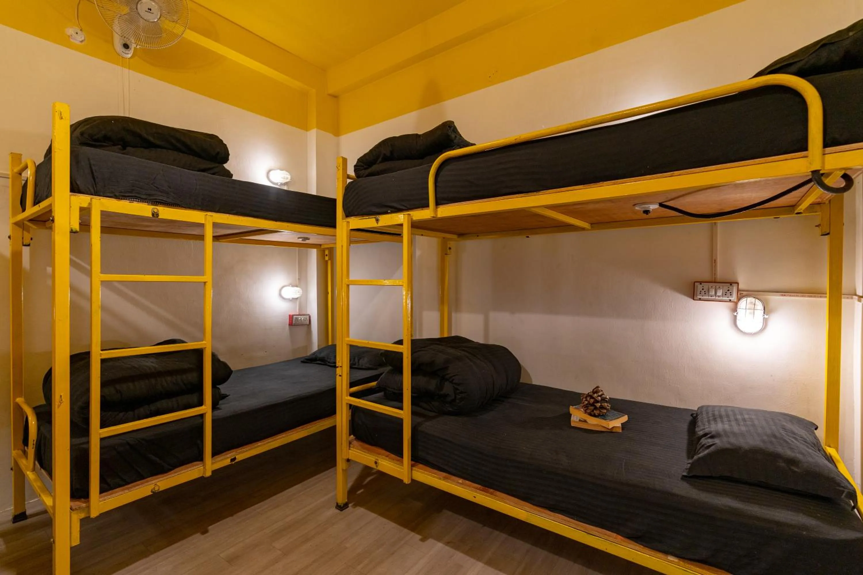 bunk bed, Bed in Jungle Hostel by Whoopers