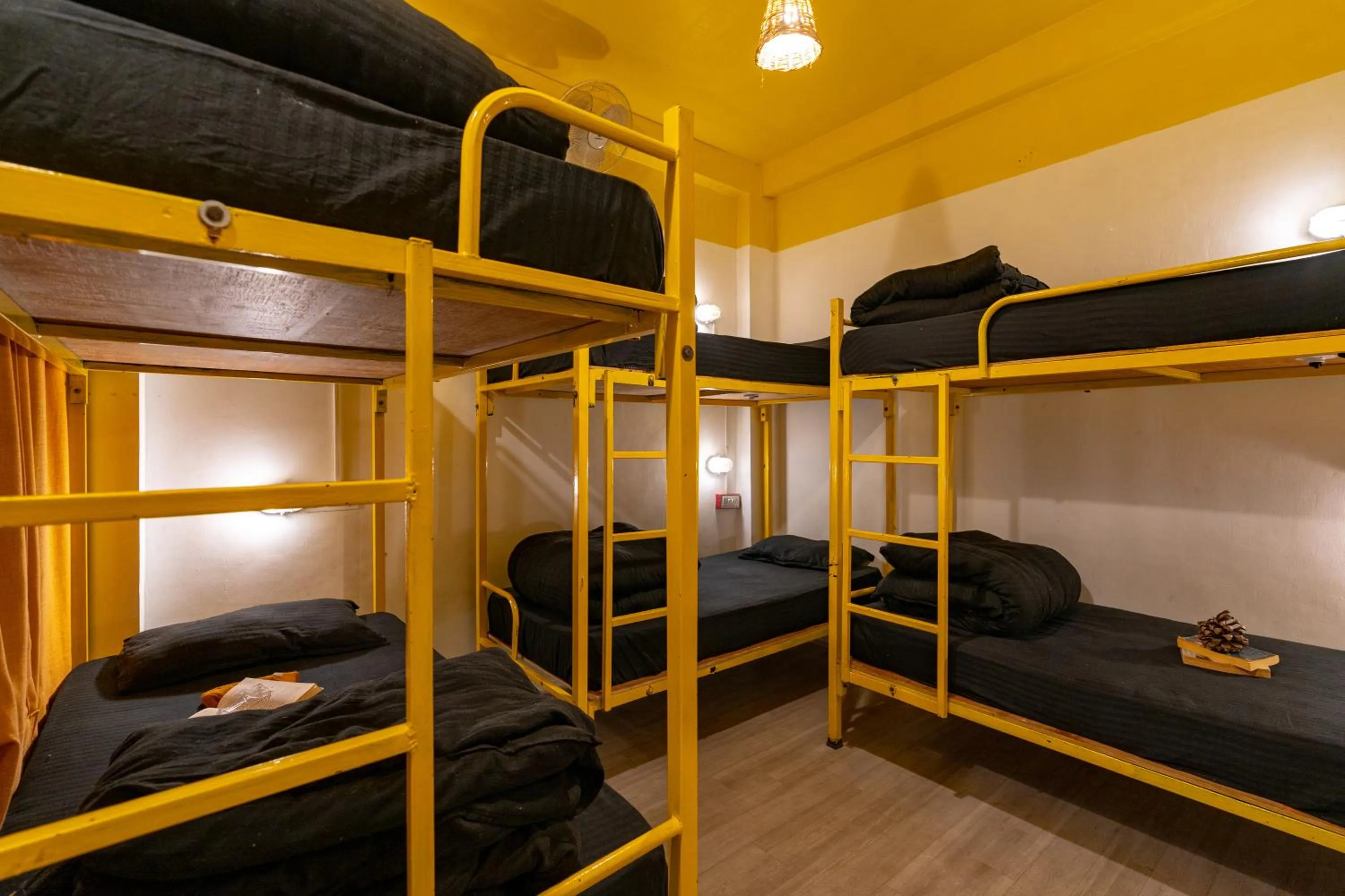 bunk bed, Bed in Jungle Hostel by Whoopers
