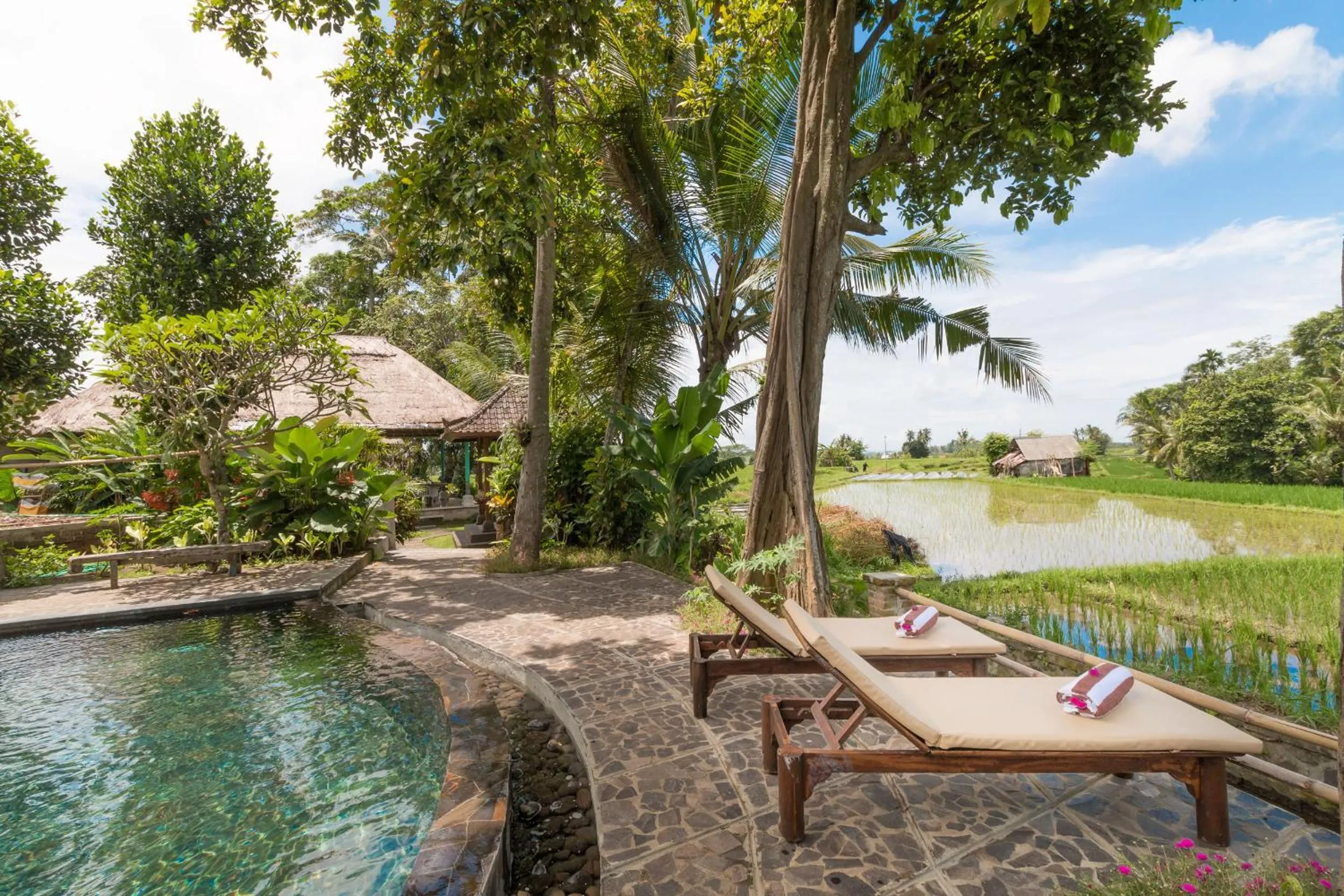 Swimming pool in Umasari Rice Terrace Villa by AGATA