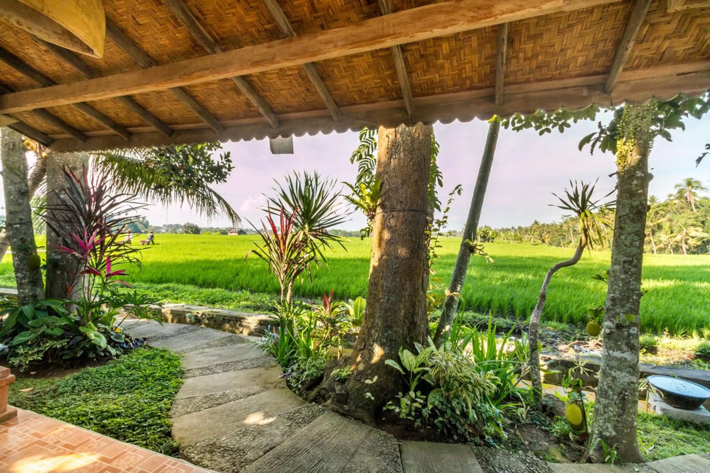 Bird's eye view in Umasari Rice Terrace Villa by AGATA