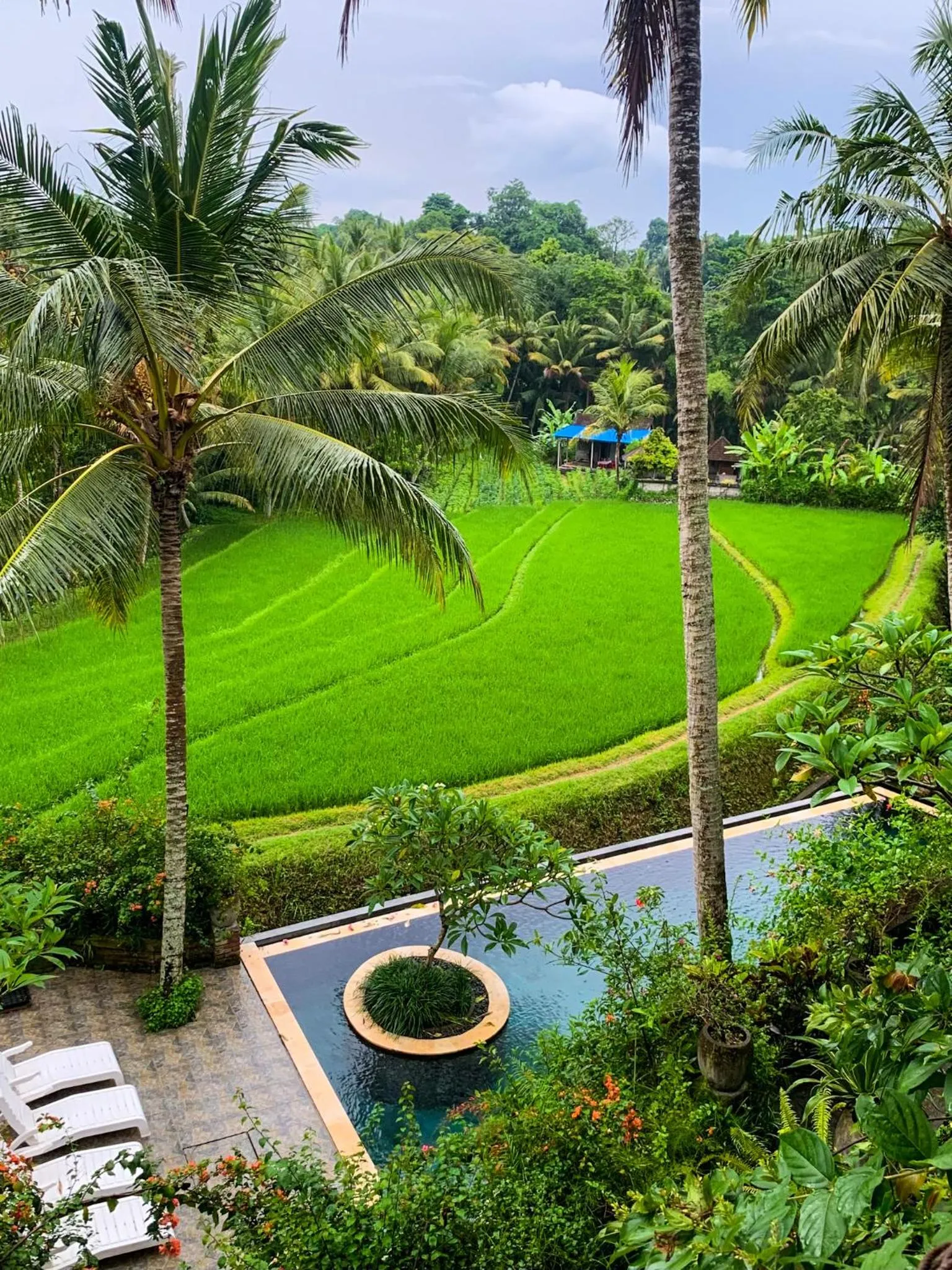 Garden view in Umasari Rice Terrace Villa by AGATA
