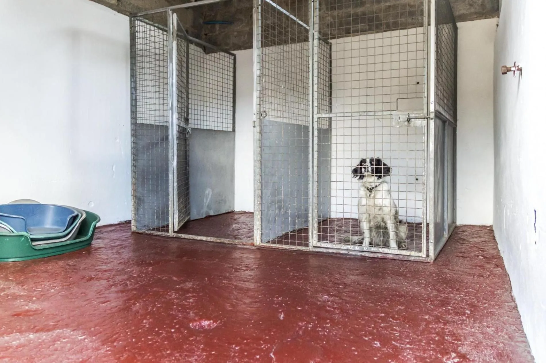 Floor plan in Ashgrove Farm - 1 Bedroom Apartment - Llawhaden - Narberth