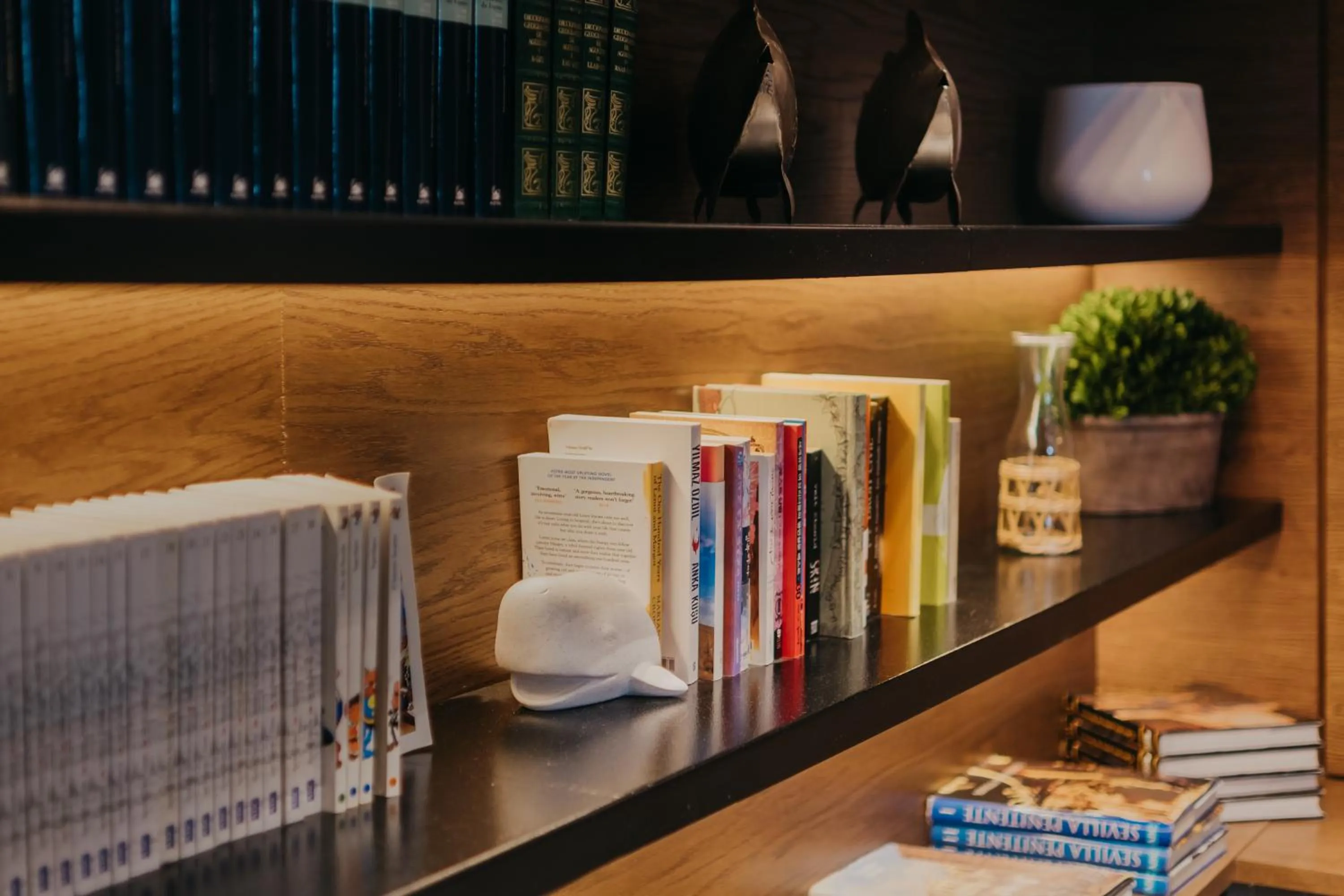 Library in Aquitania Home Suites