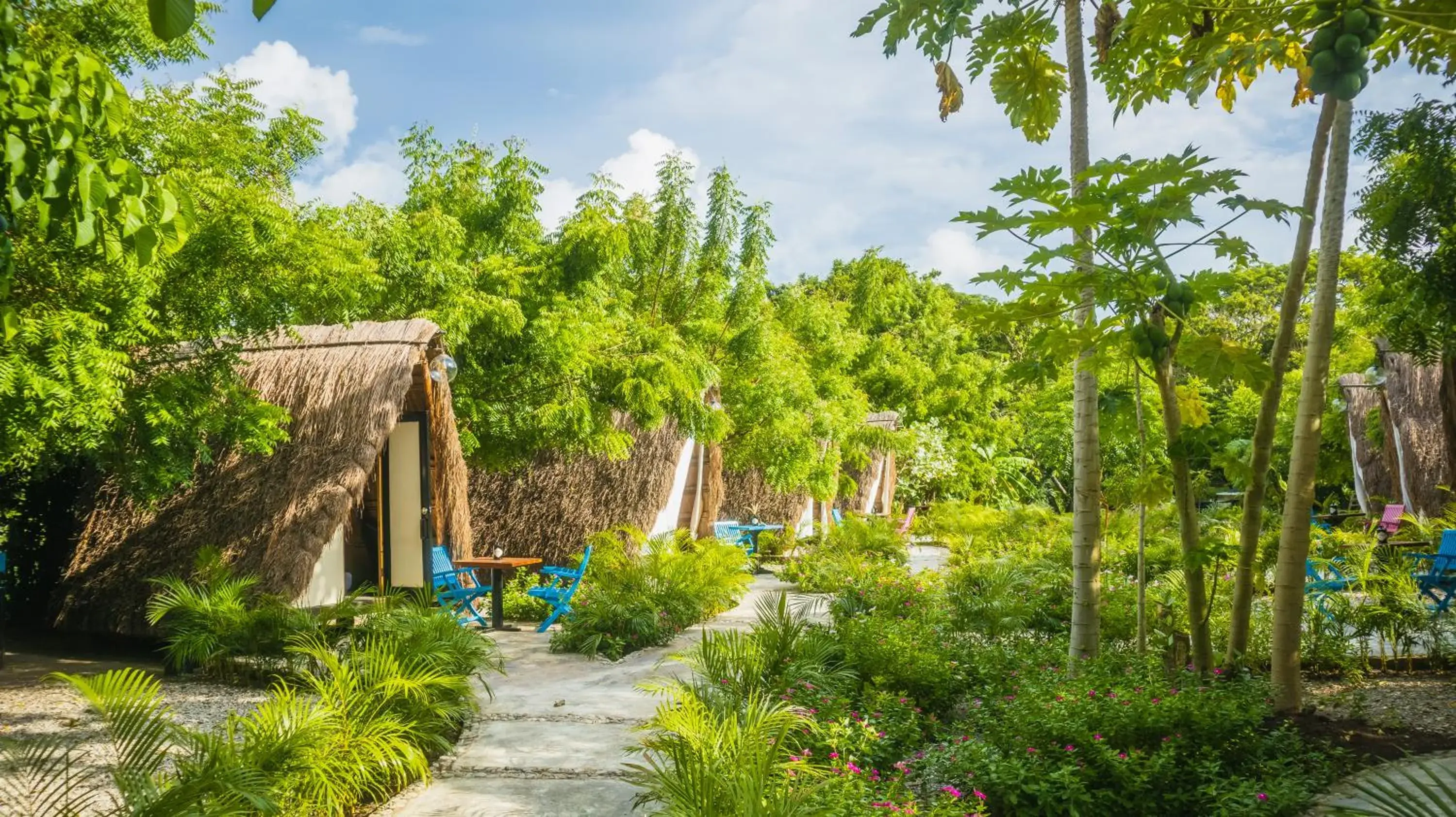 Garden in Santuario Beach Hostel Garden in Santuario Beach Hostel