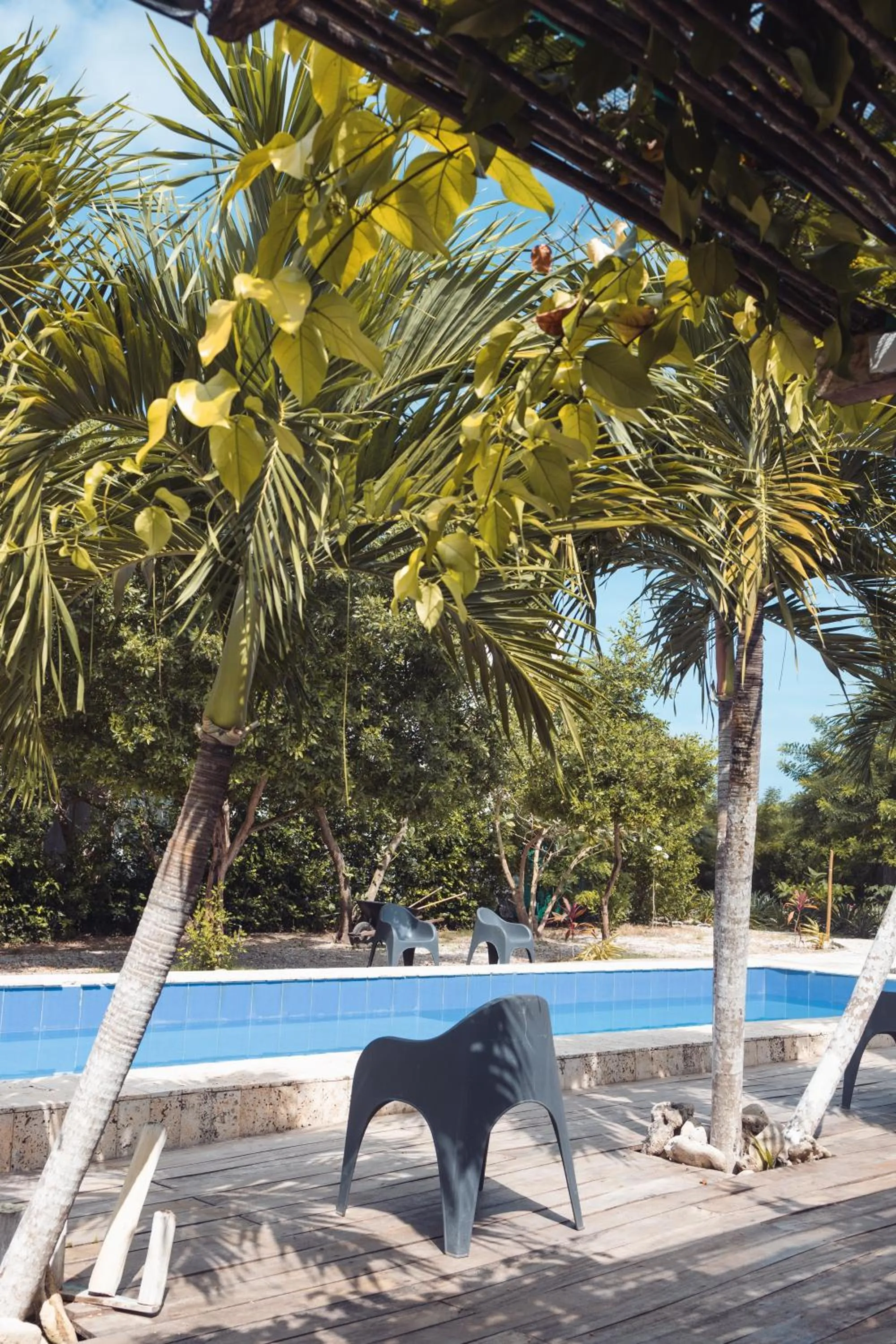 Pool view in Santuario Beach Hostel
