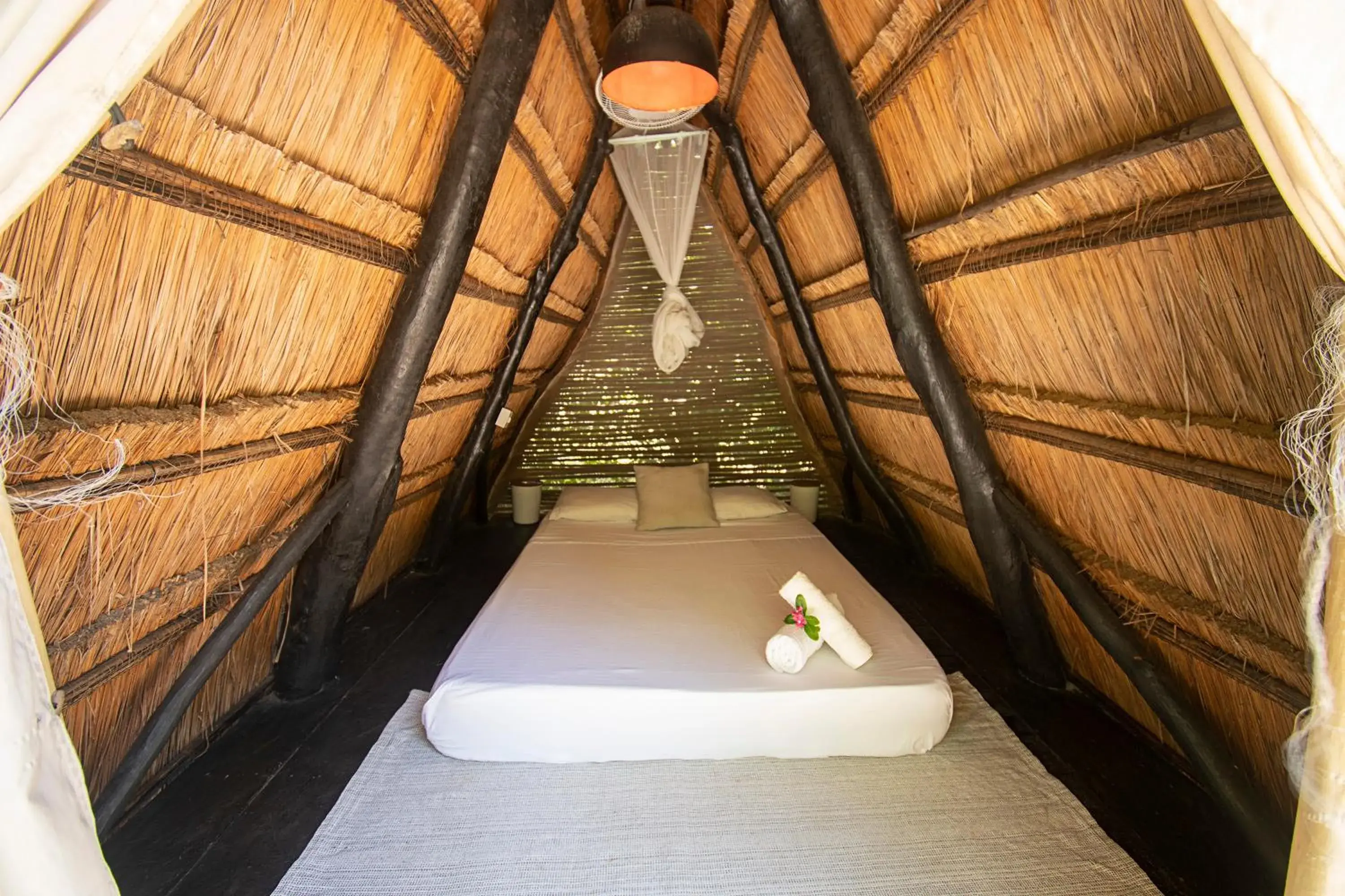 Double Room with Shared Bathroom in Santuario Beach Hostel Double Room with Shared Bathroom in Santuario Beach Hostel