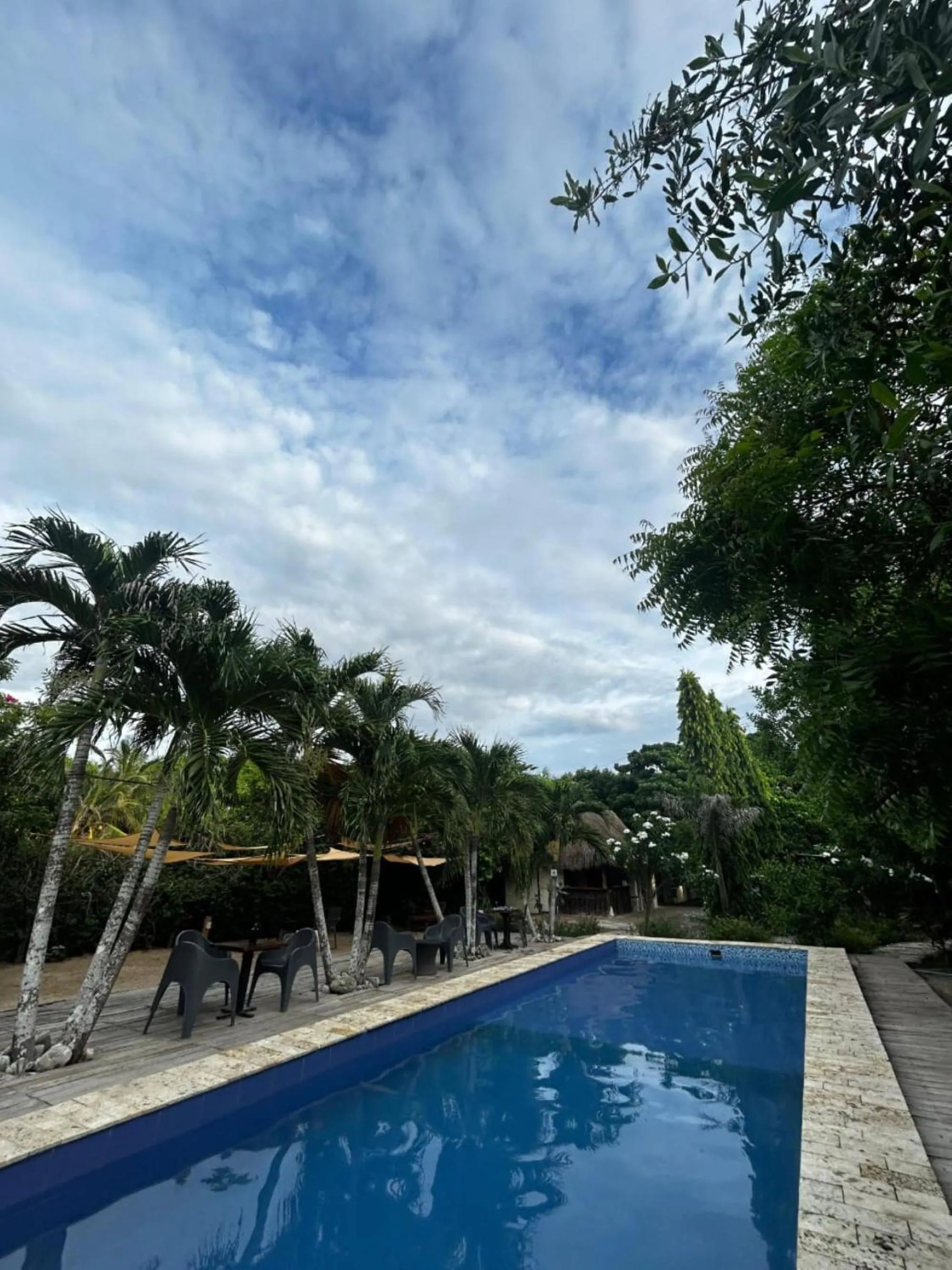 Swimming pool in AMALIFE Beach Club & Hotel