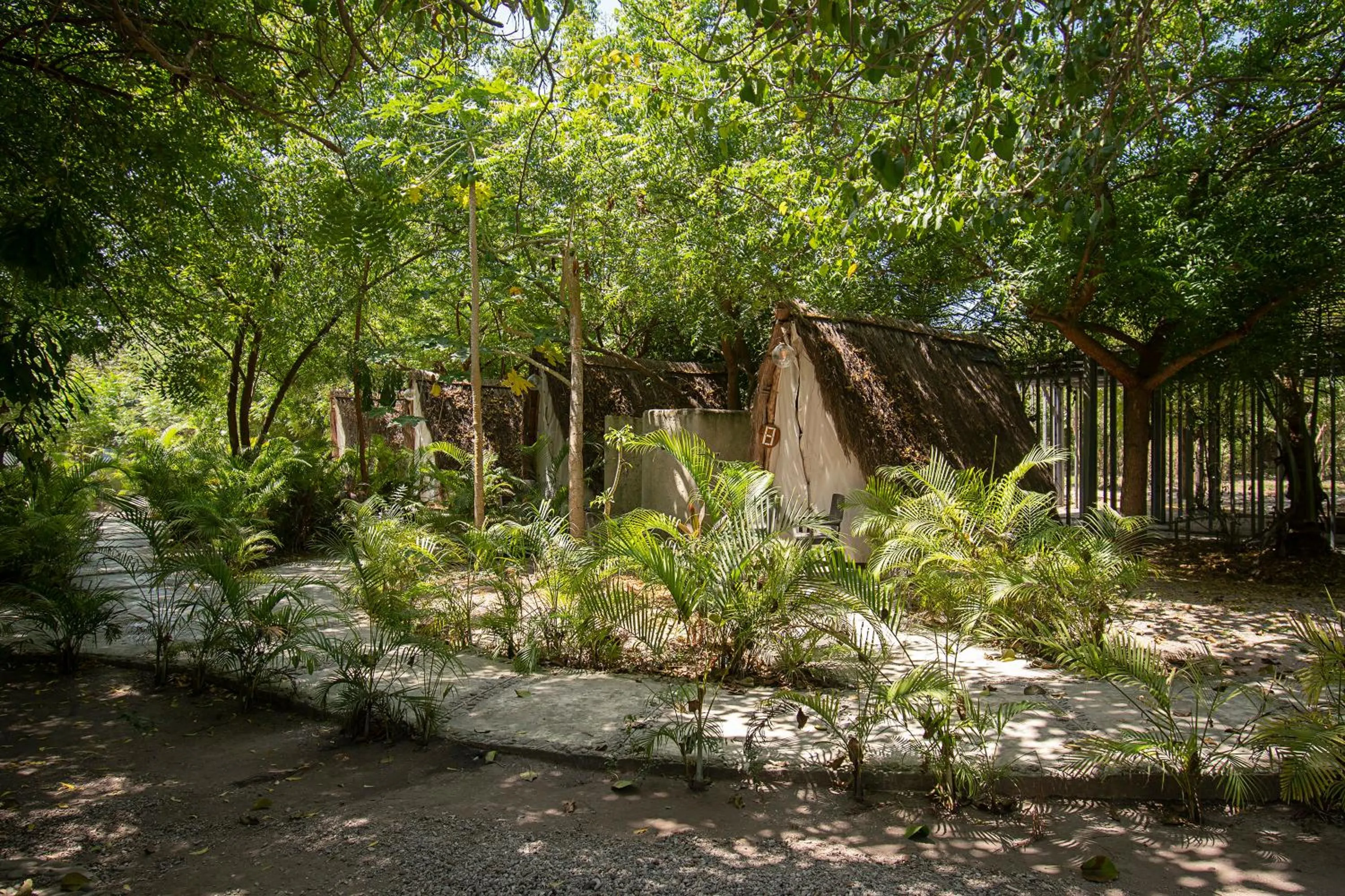 View (from property/room) in Santuario Beach Hostel