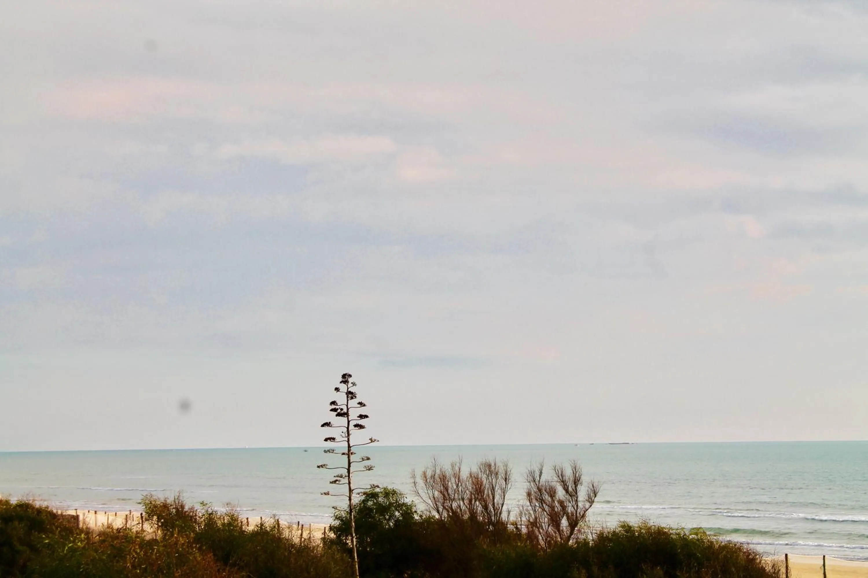 Sea view in Le Dune Residence