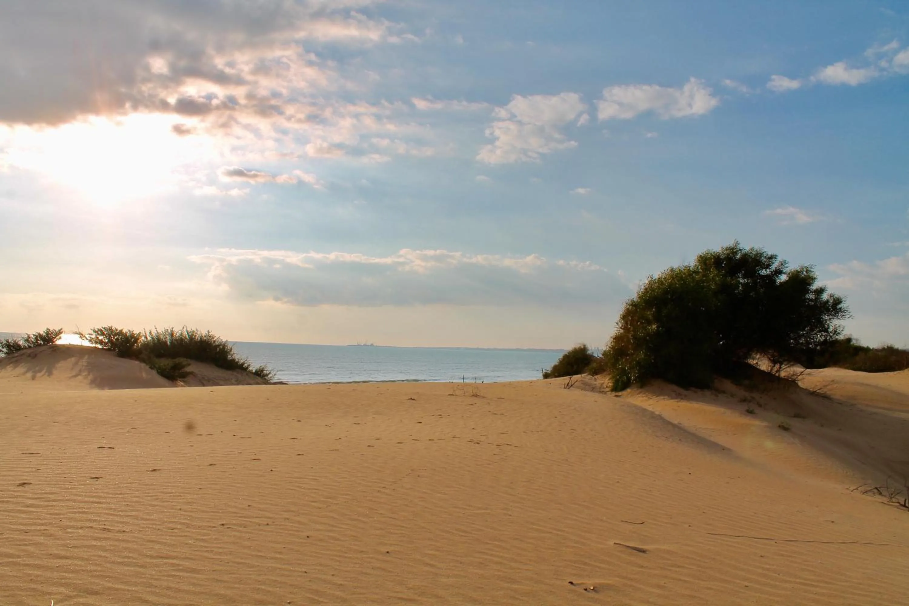 Natural landscape in Le Dune Residence