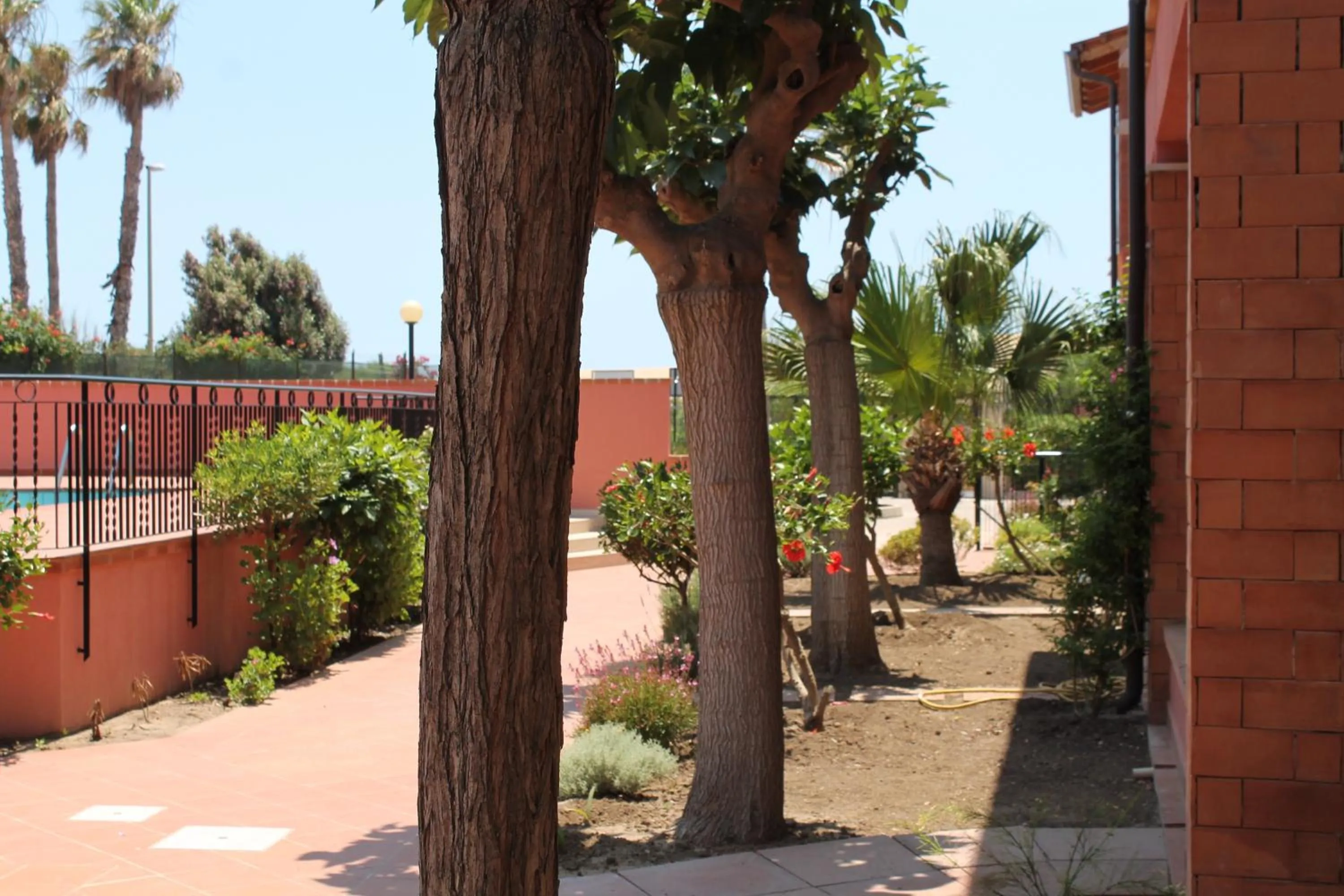 Day in Le Dune Residence