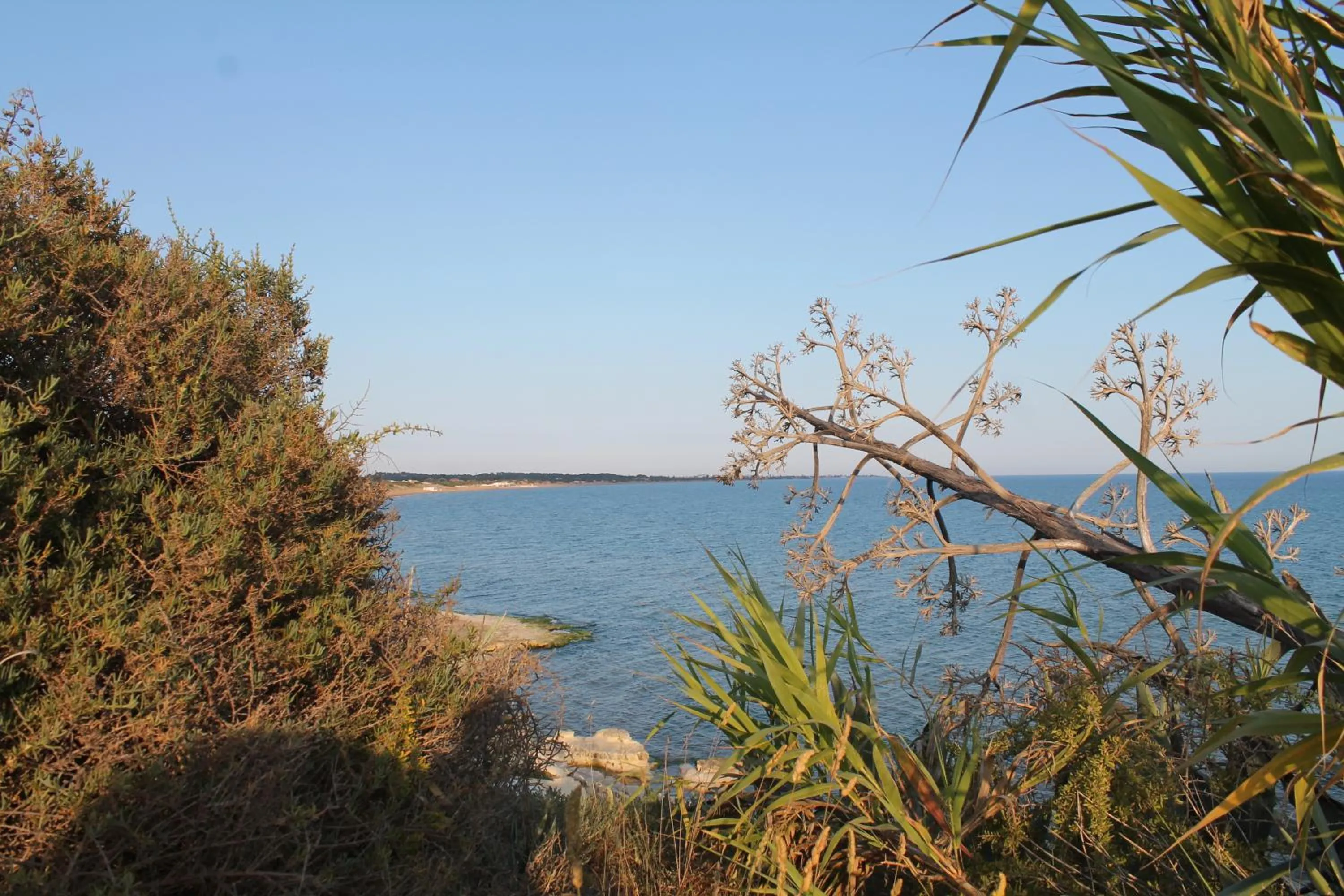 Nearby landmark in Le Dune Residence