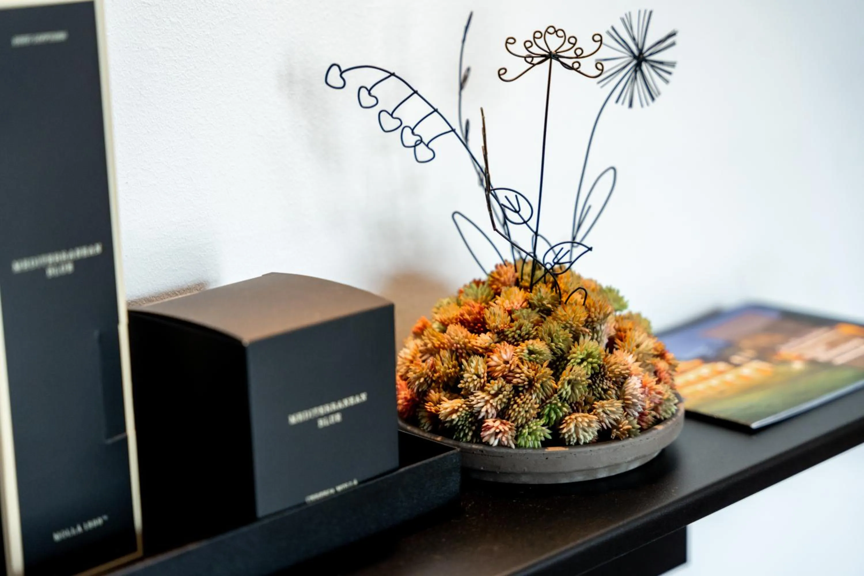 Sapia Hotel Rheinsberg