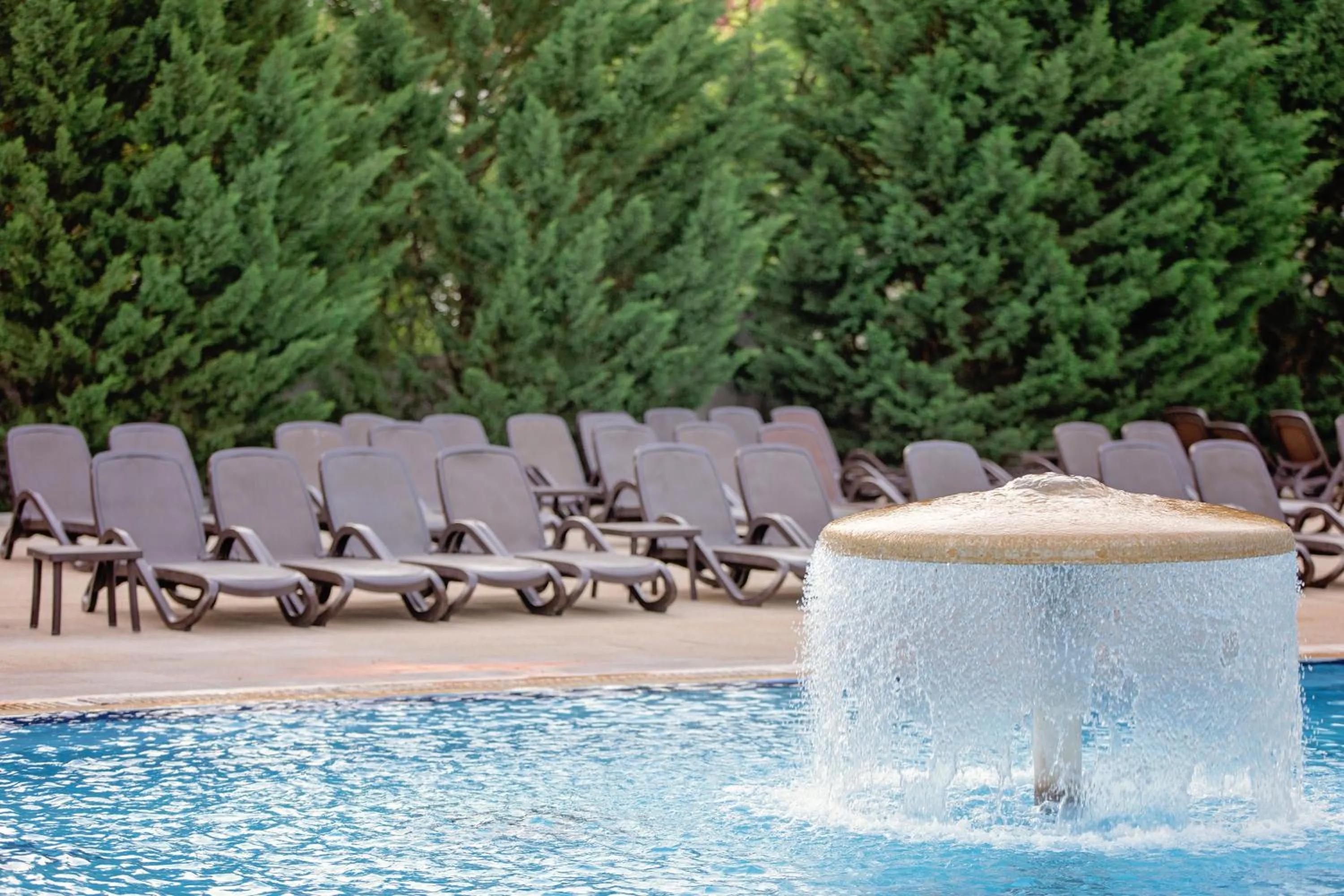 Swimming pool in Hotel International