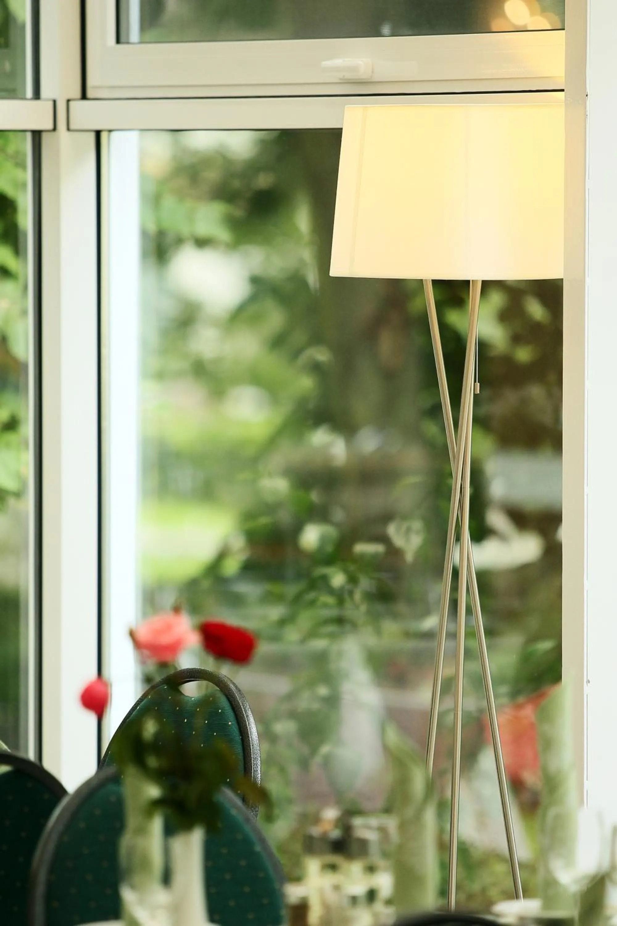 Dining area in Hotel Nufarul
