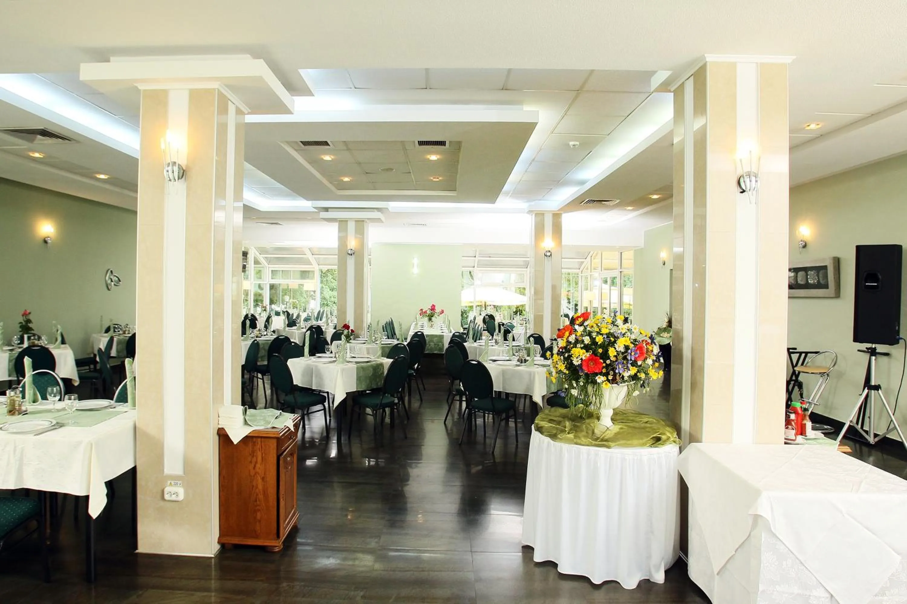 Dining area in Hotel Nufarul