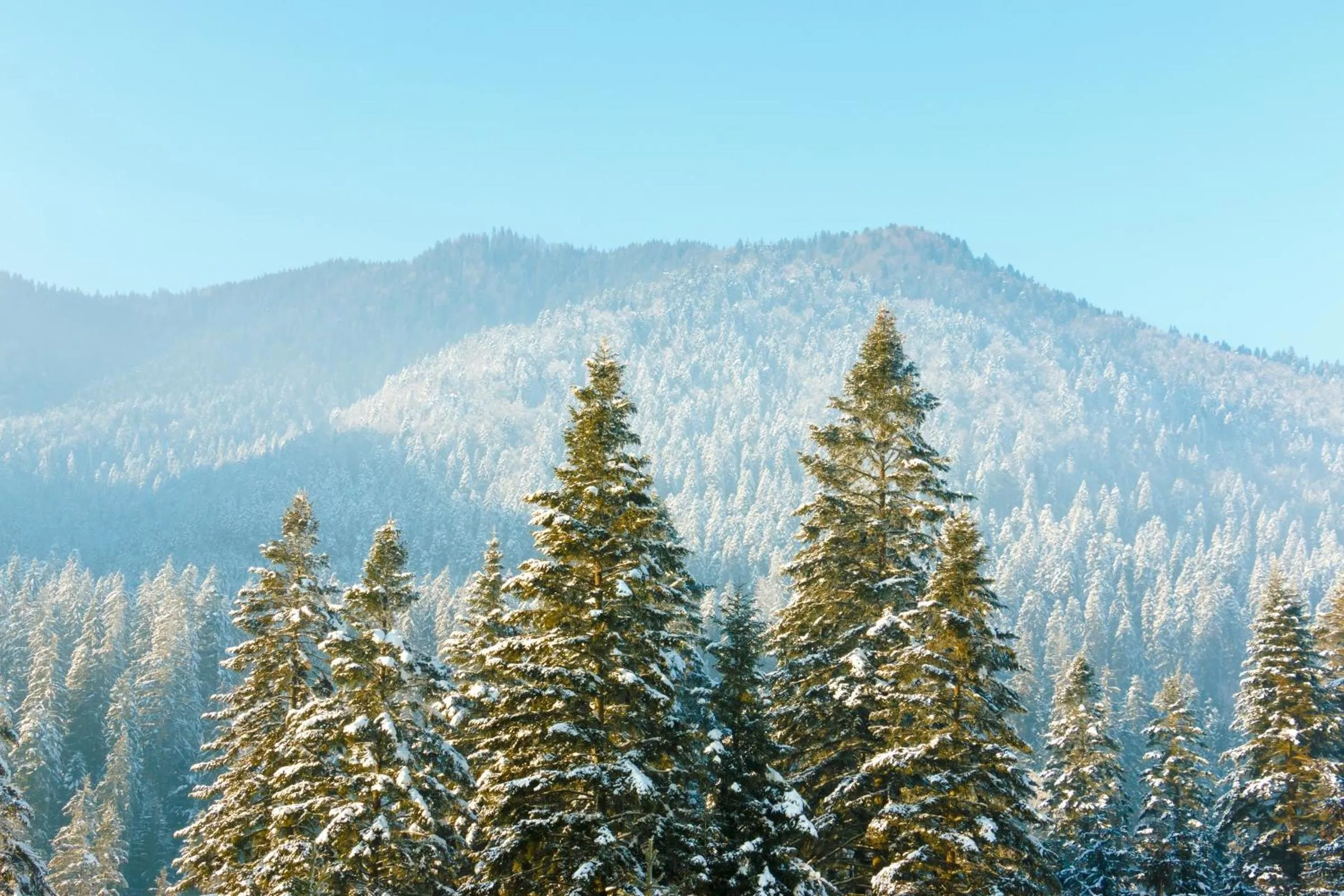 City view in Hotel Tusnad