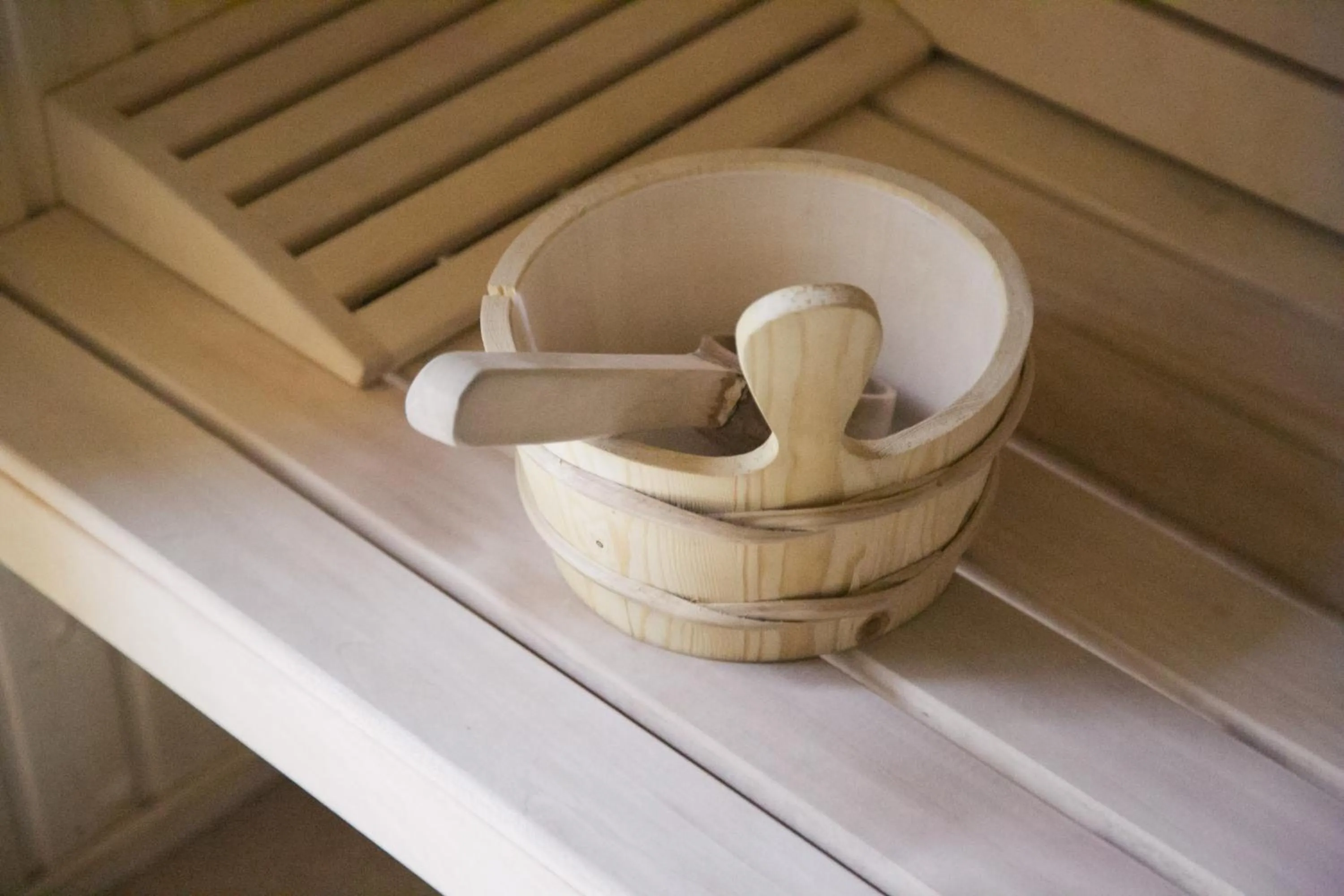 Sauna in Hotel Poienița