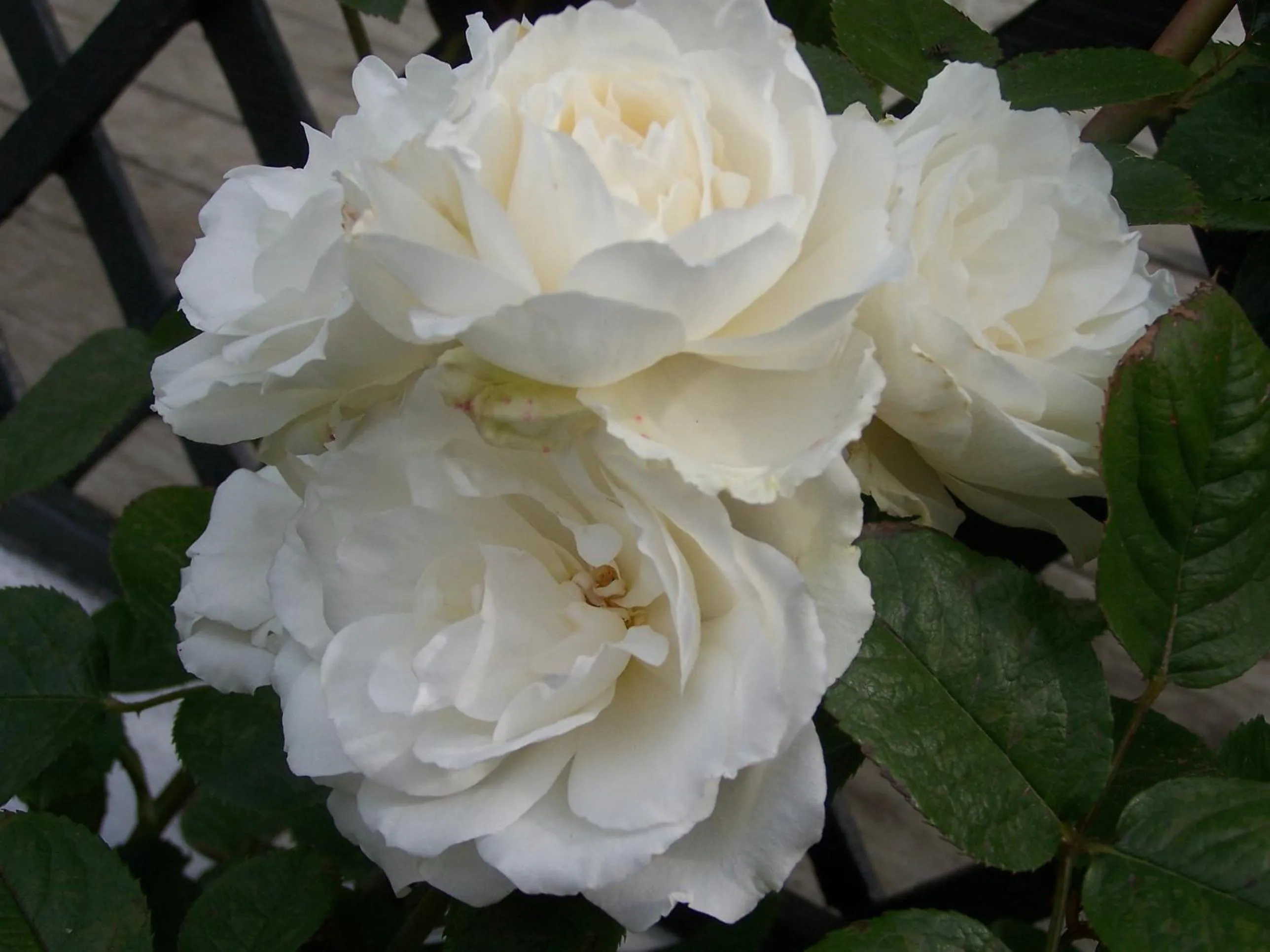 Other in The Point B&B