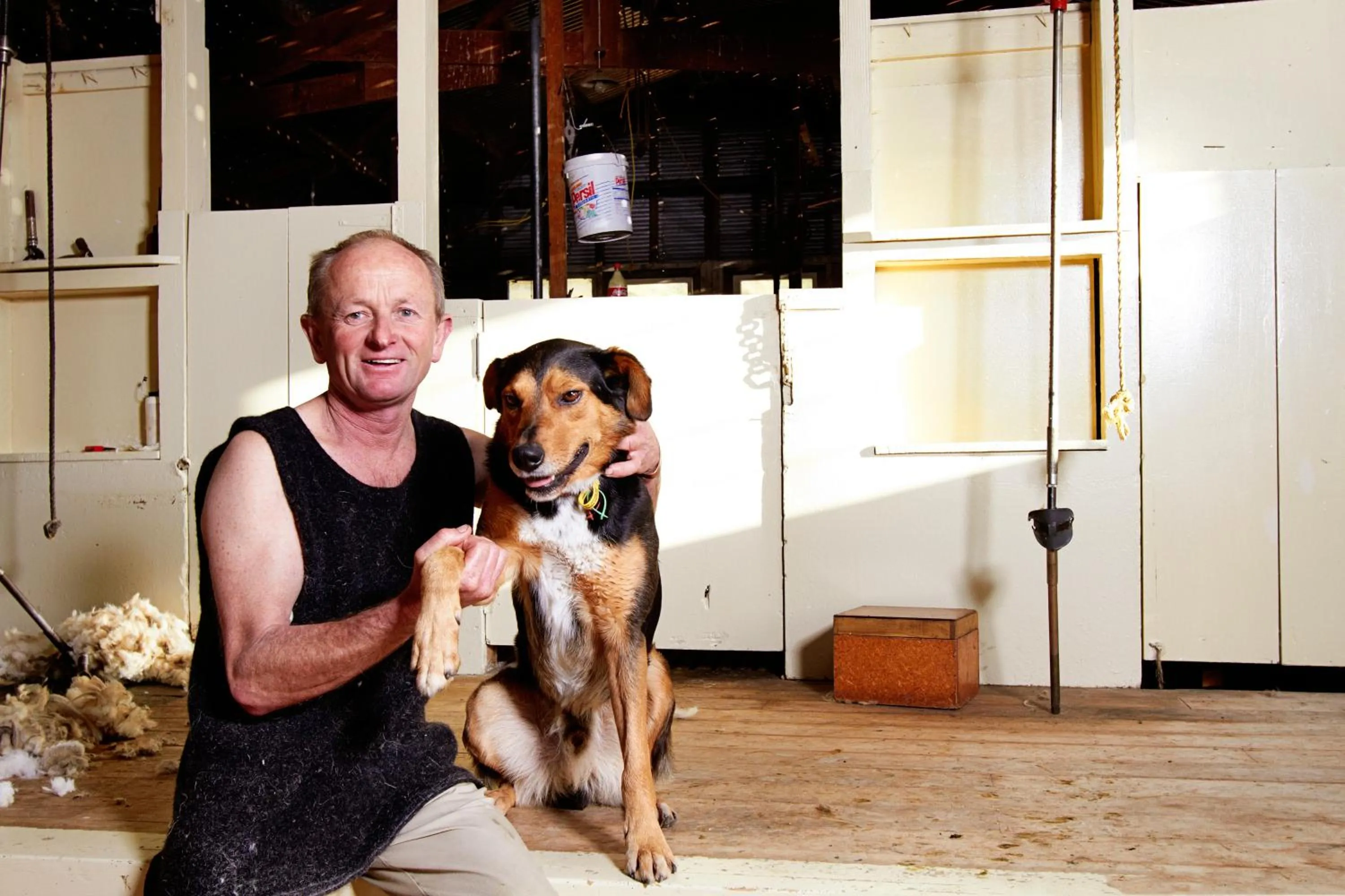 Animals in The Point B&B