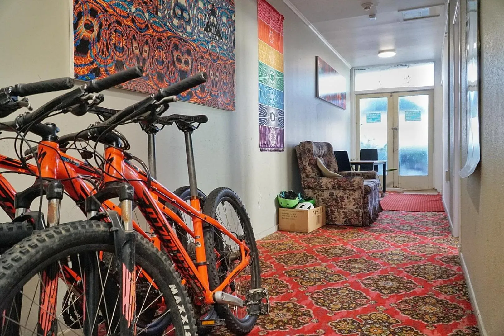 Cycling in Ariki Backpackers