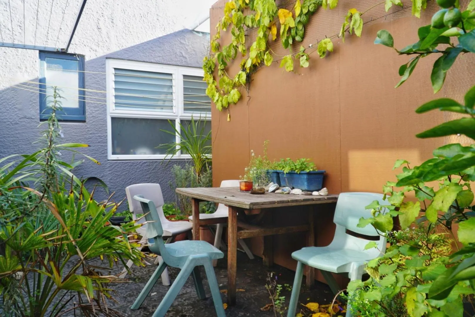 Garden in Ariki Backpackers