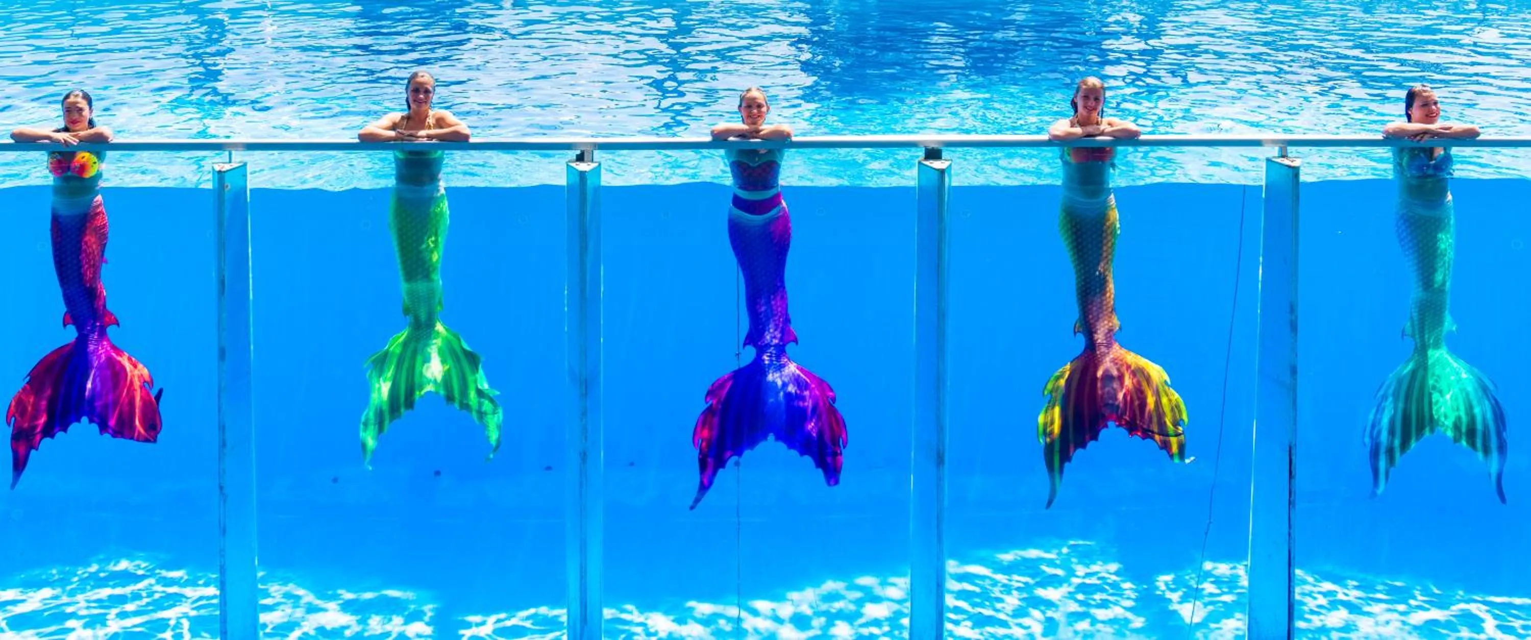 Activities in Daima Biz Hotel - Dolusu Aquapark Access