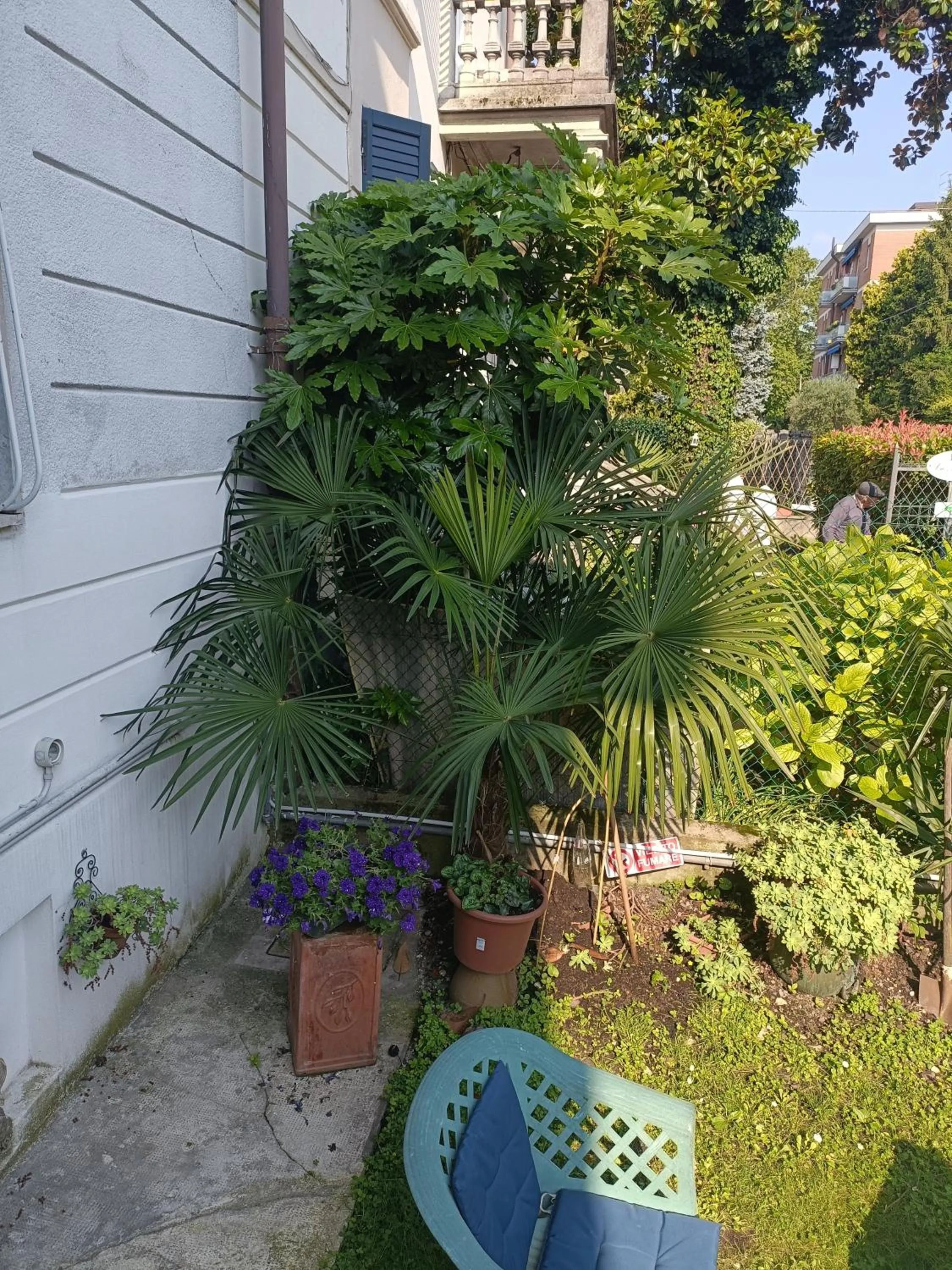 Property building in B&B Mavipagi