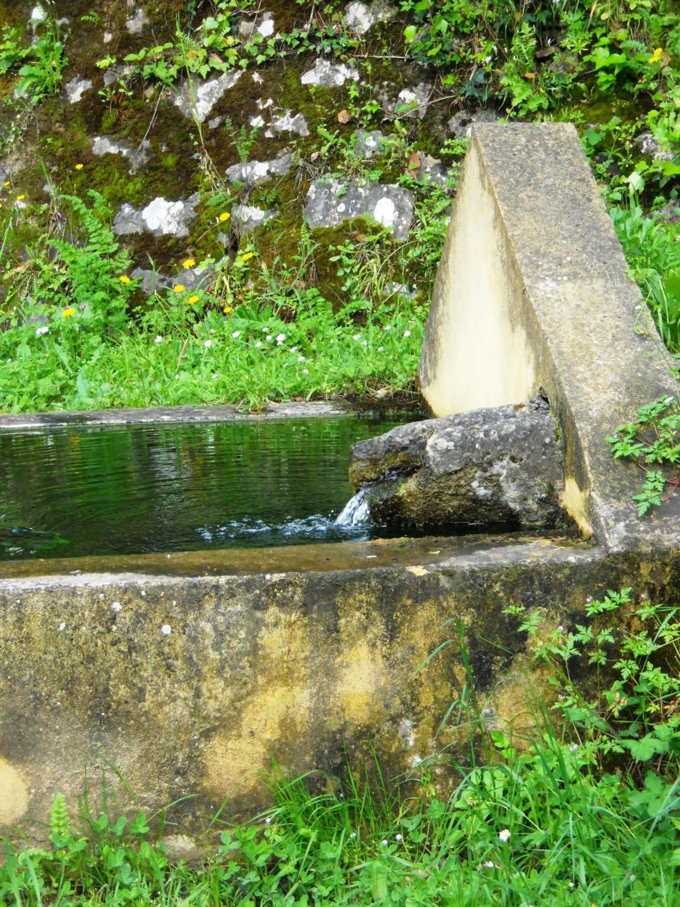 Garden in L'Antico Casale