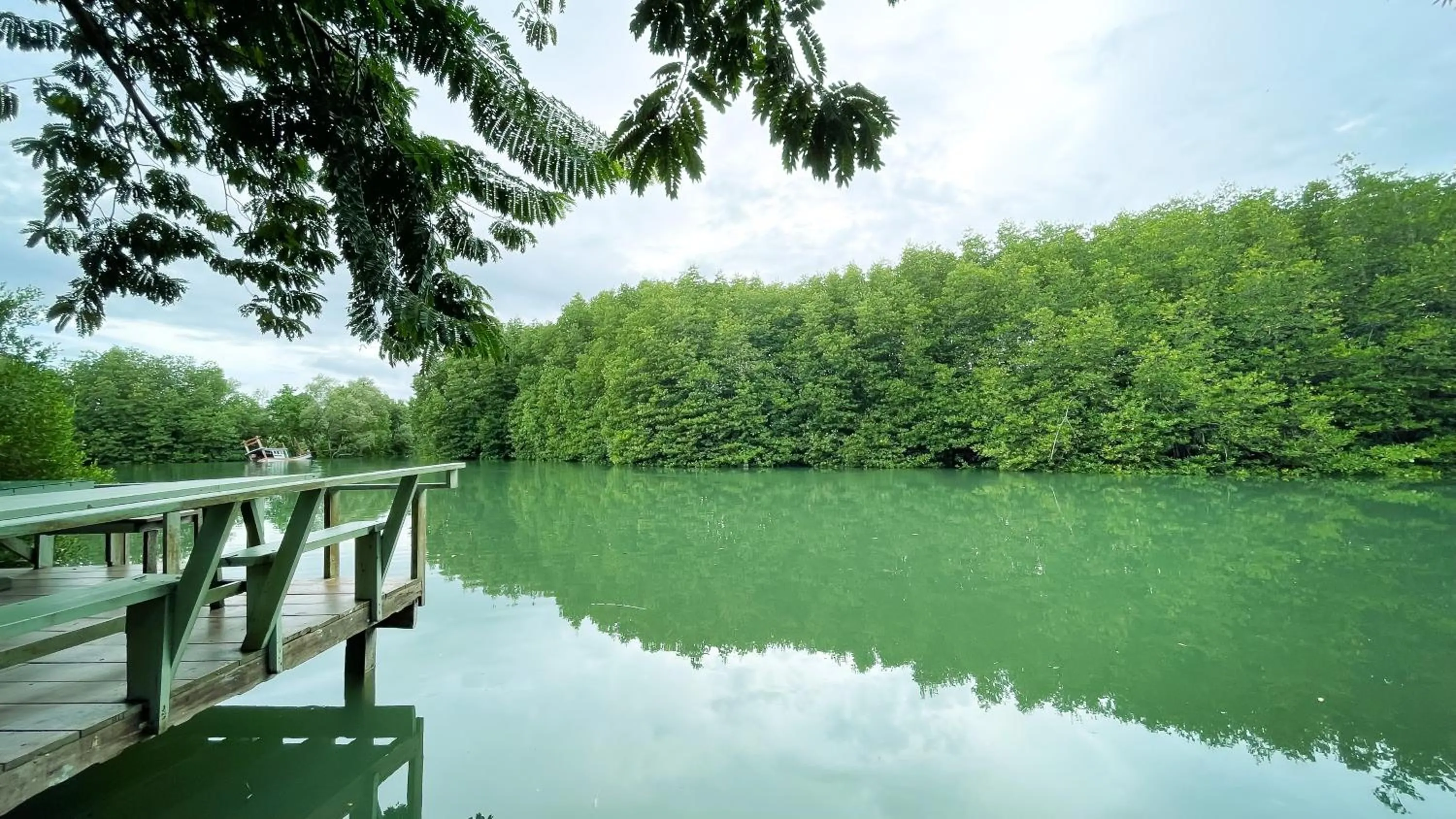 Natural landscape in Rimsira