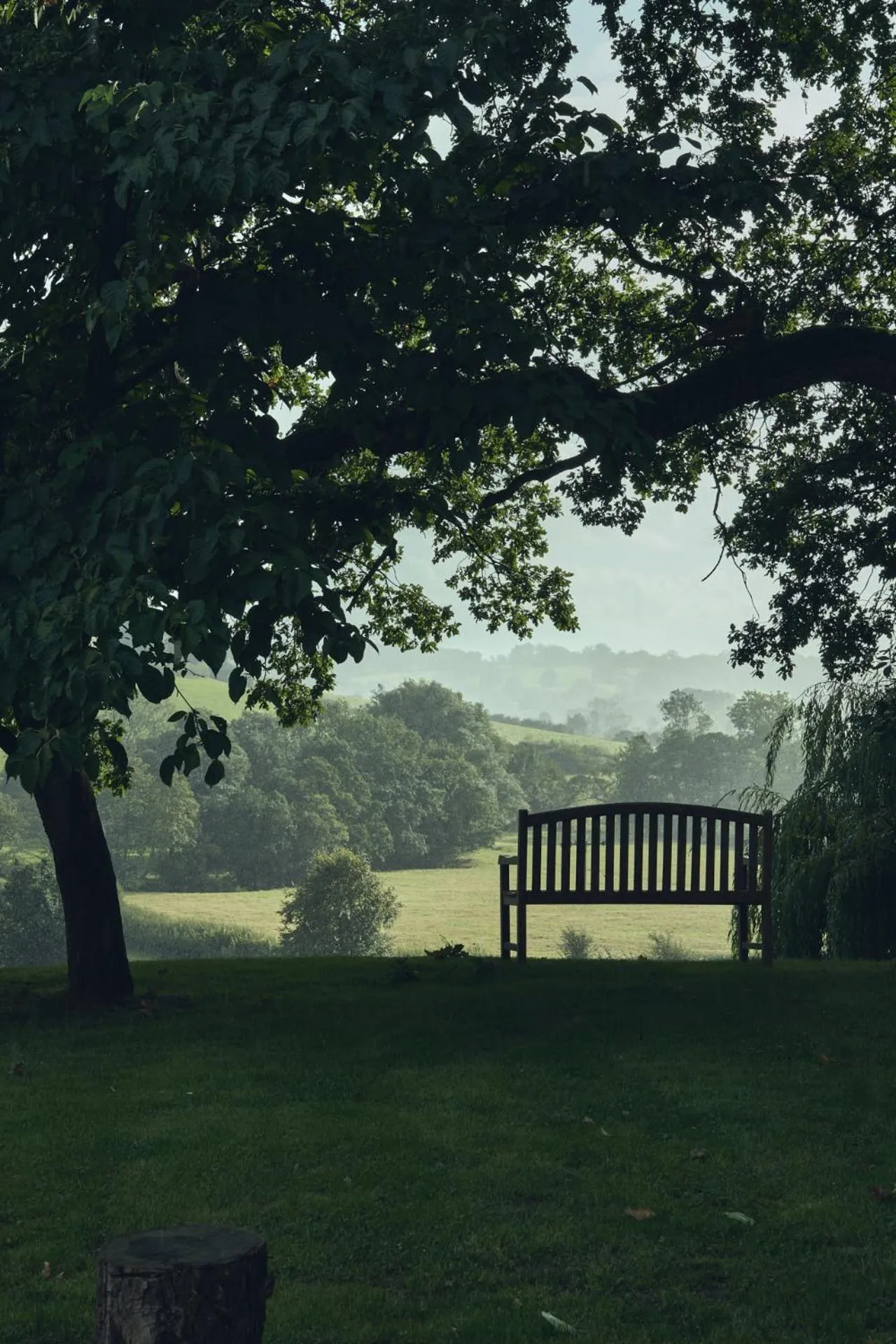 Garden in Wildhive Callow Hall