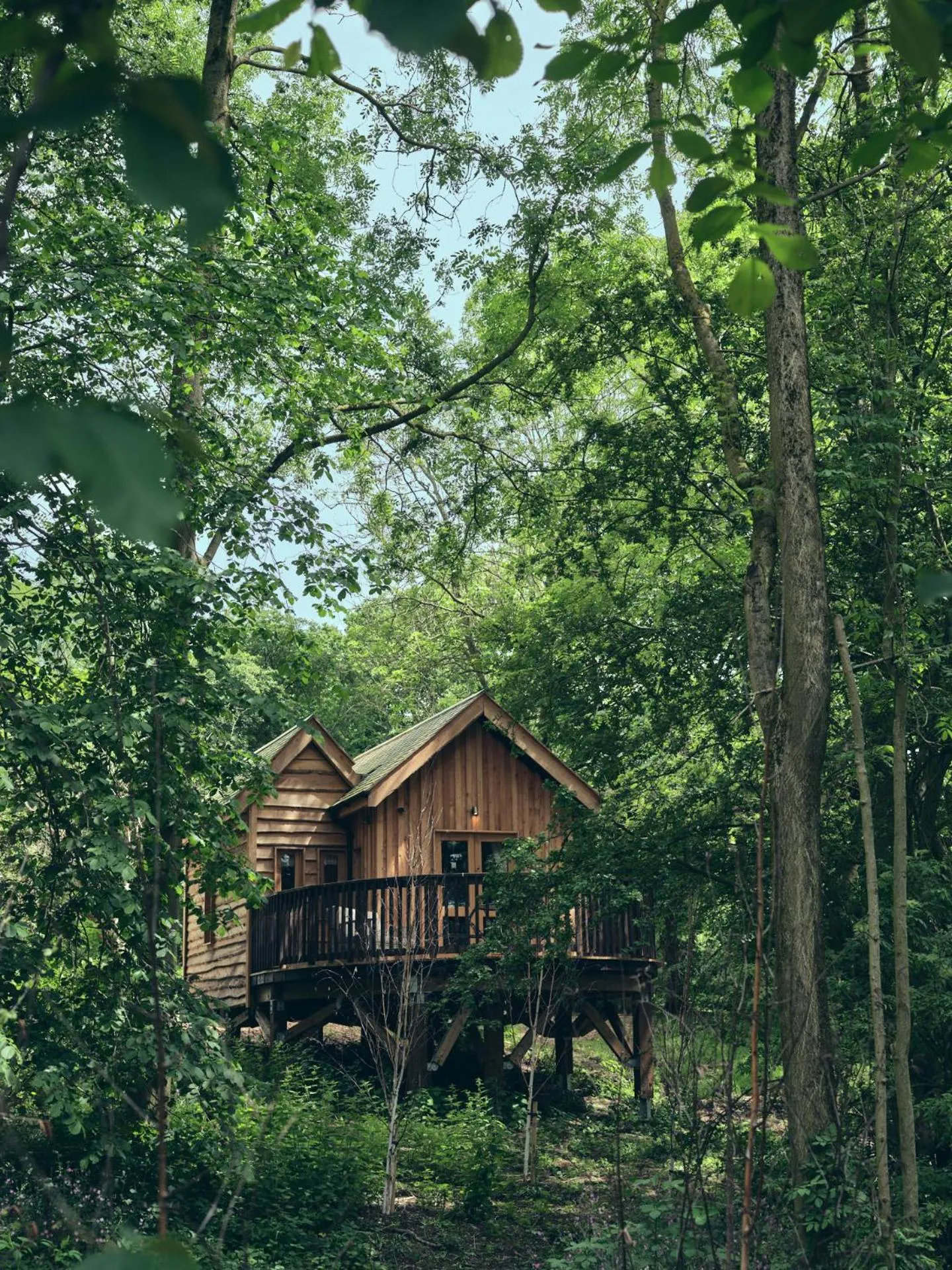 Property building in Wildhive Callow Hall