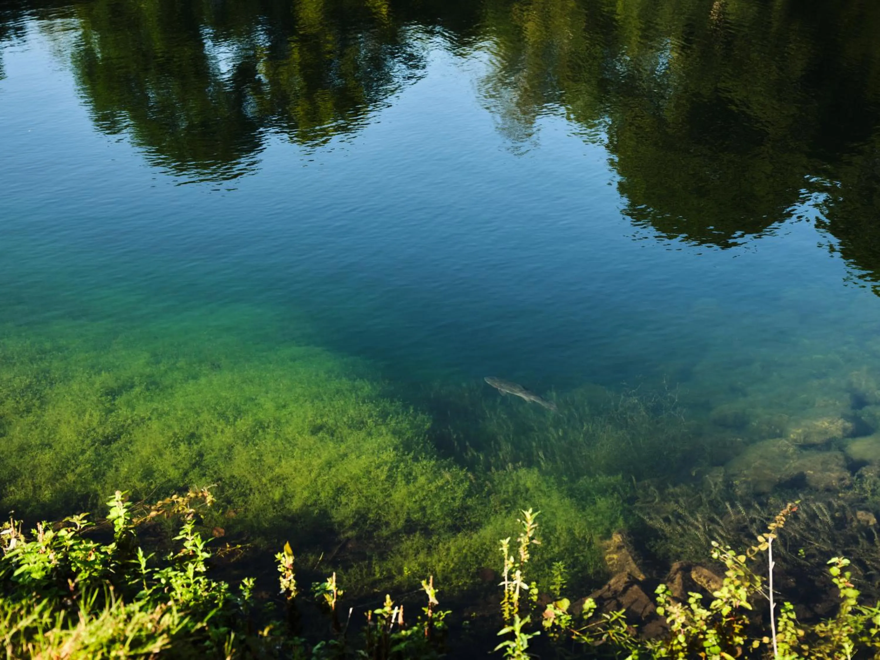 Fishing in The Arundell