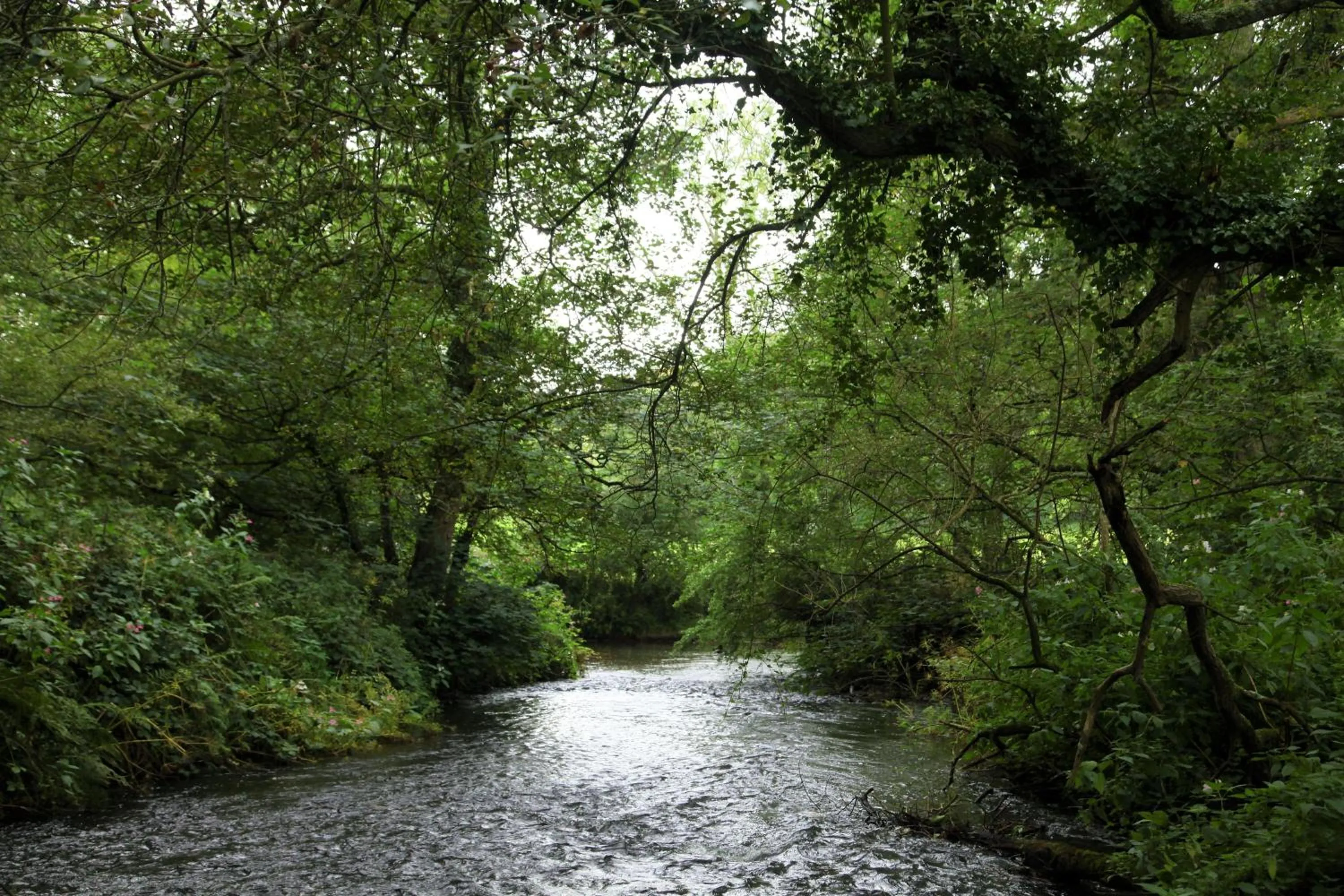 Fishing in The Arundell