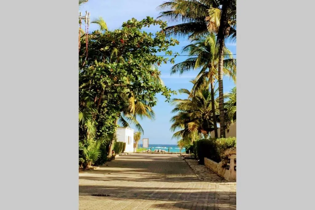 Beach in Steps to Ocean Huge Beach Villa Private Pool in Exclusive Fase 1 Playacar