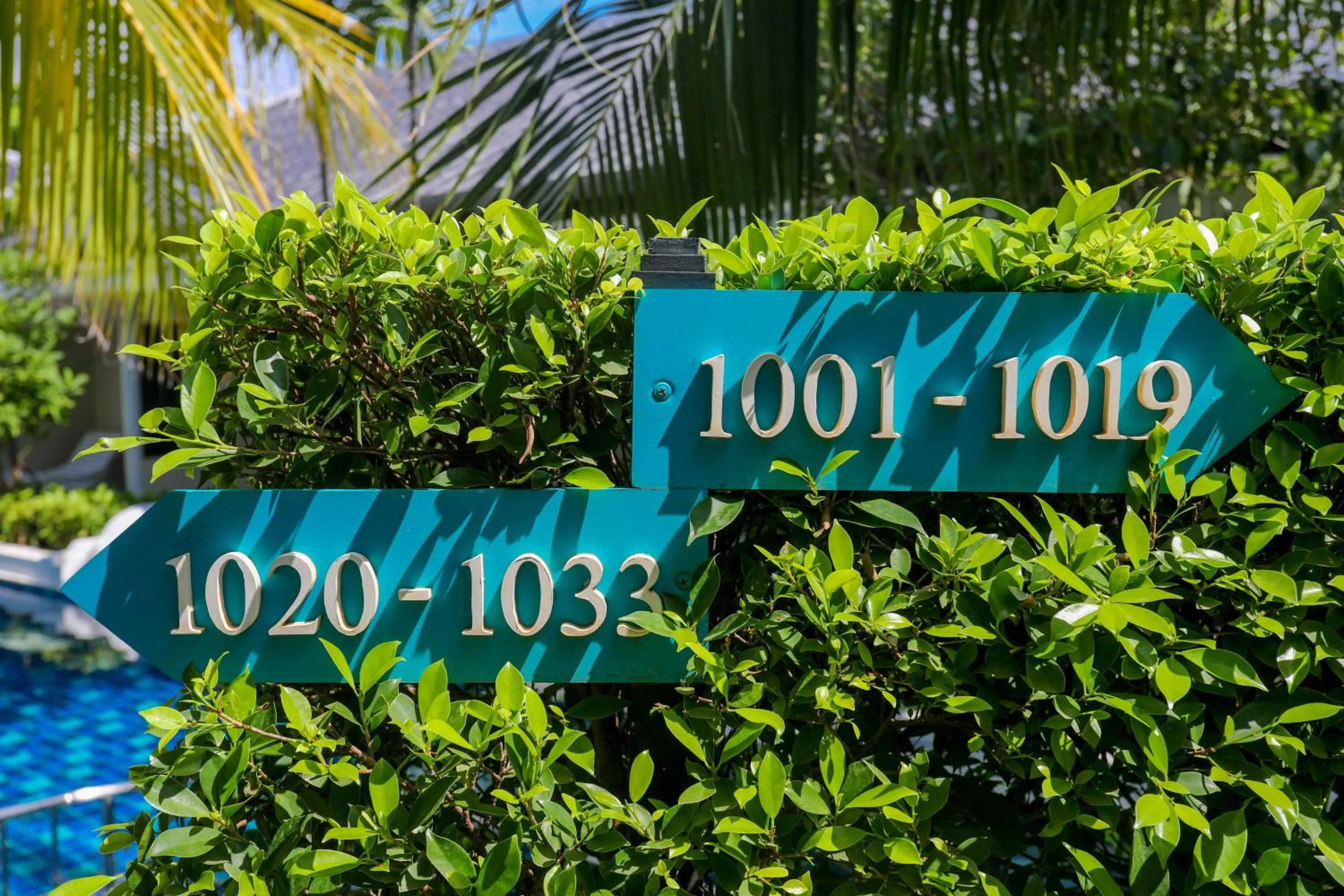 Tuana Hotels Brook Pool Access